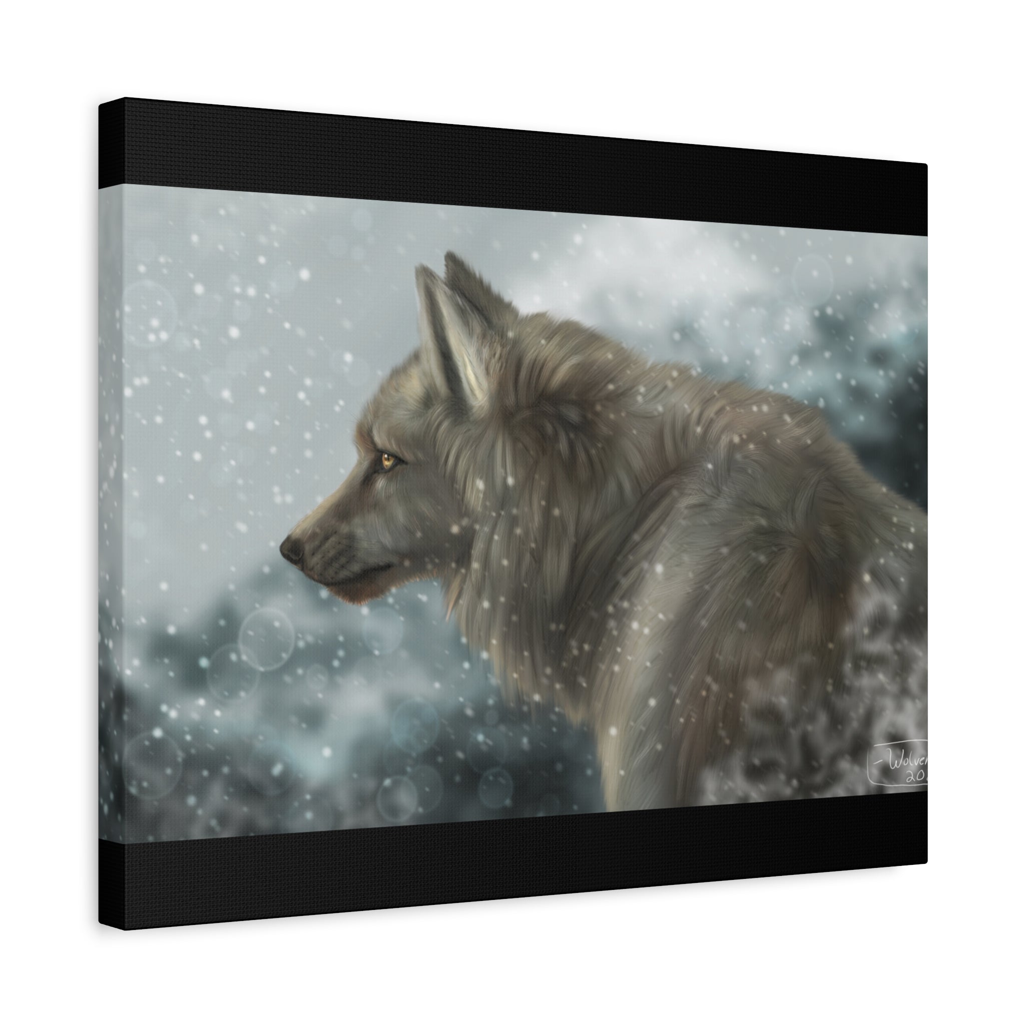 Lone Wolf Matte Canvas, Stretched, 1.25"