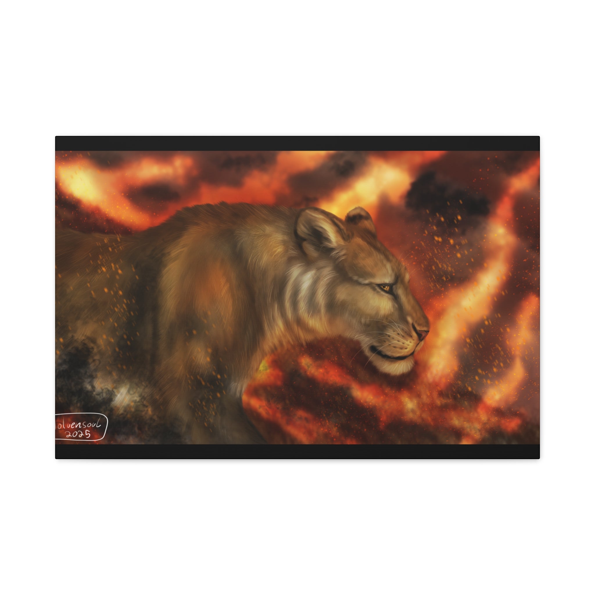 Fire lion Canvas, Stretched, 1.25"
