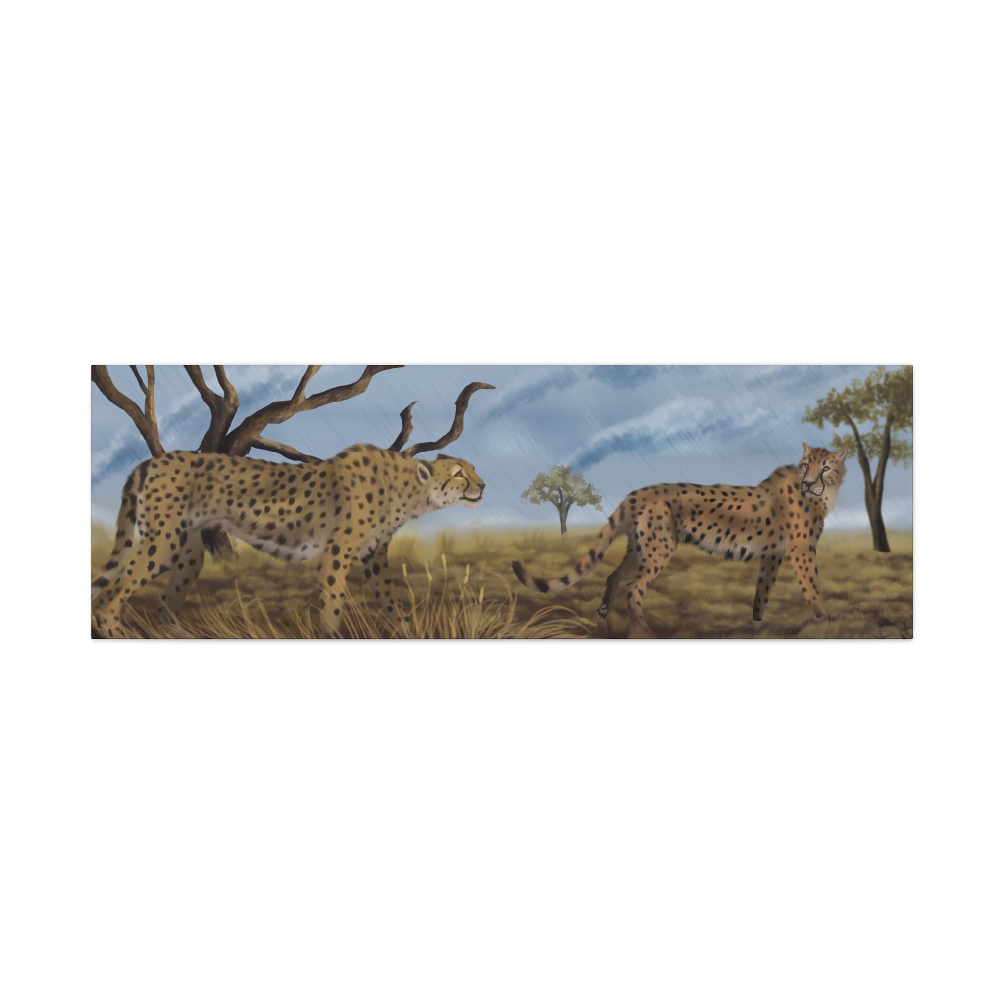 Cheetah Savanna Panorama Canvas