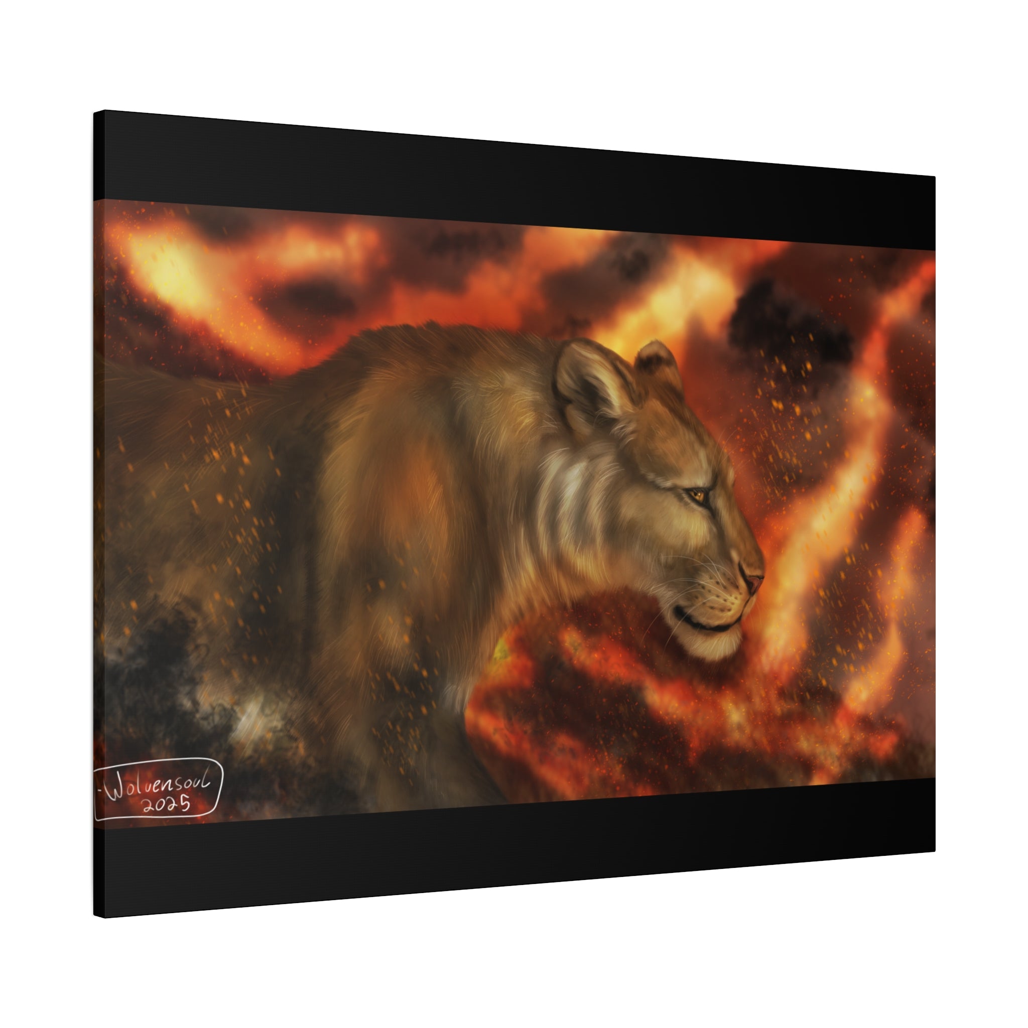 Fire lion Canvas, Stretched, 1.25"