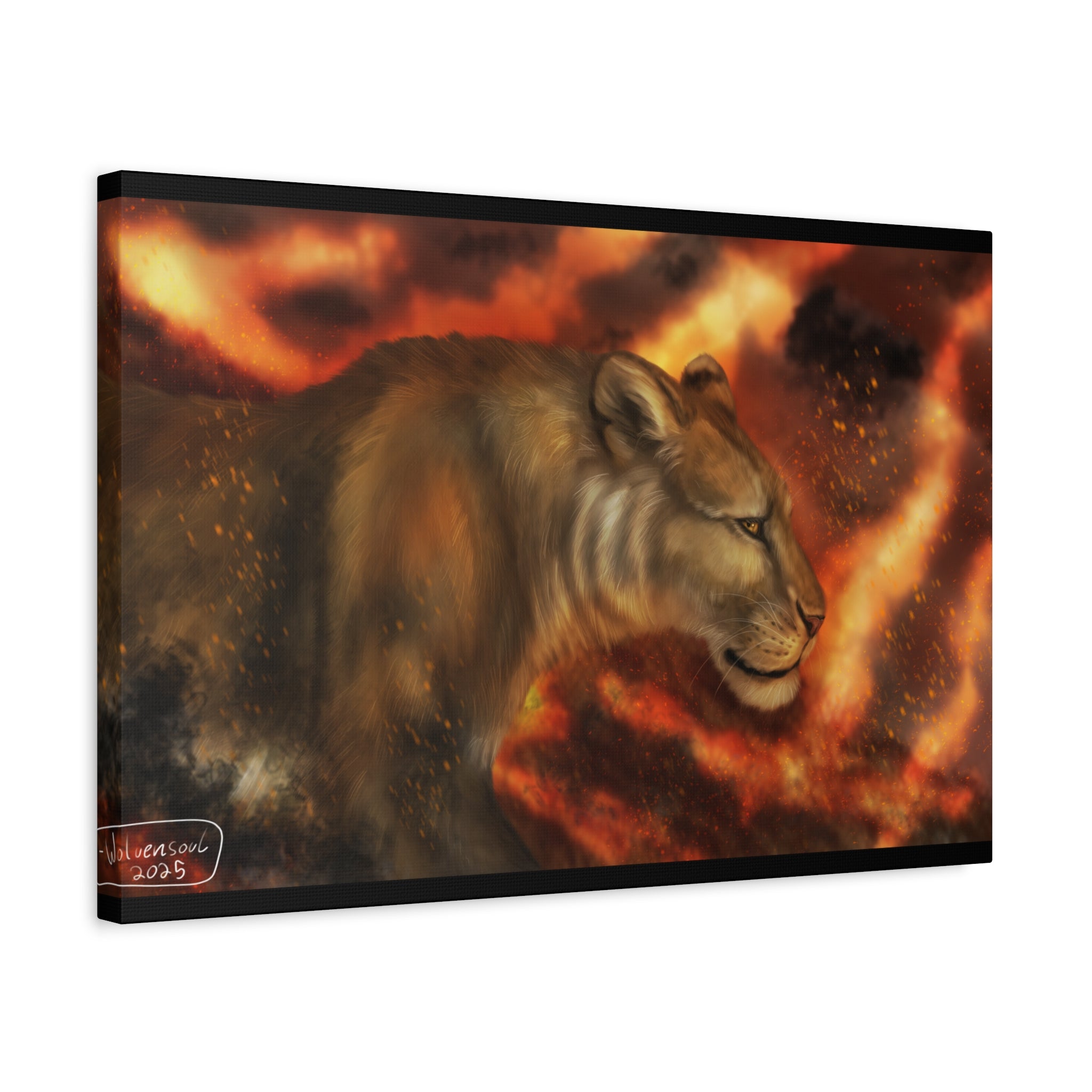 Fire lion Canvas, Stretched, 1.25"