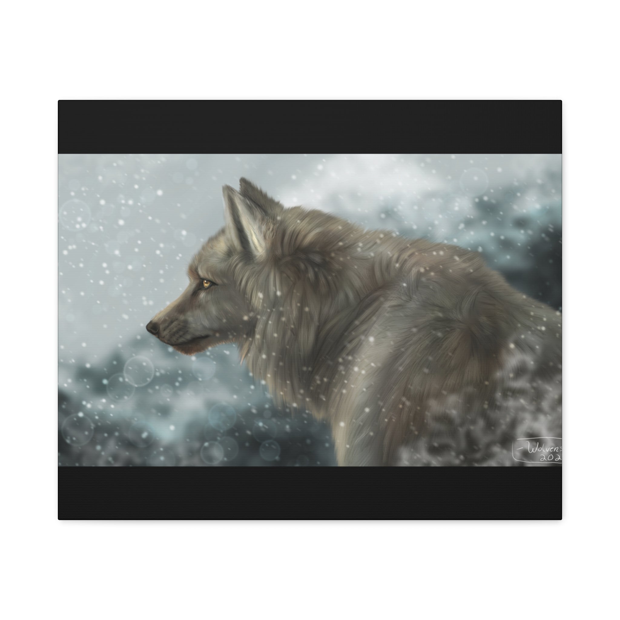 Lone Wolf Matte Canvas, Stretched, 1.25"