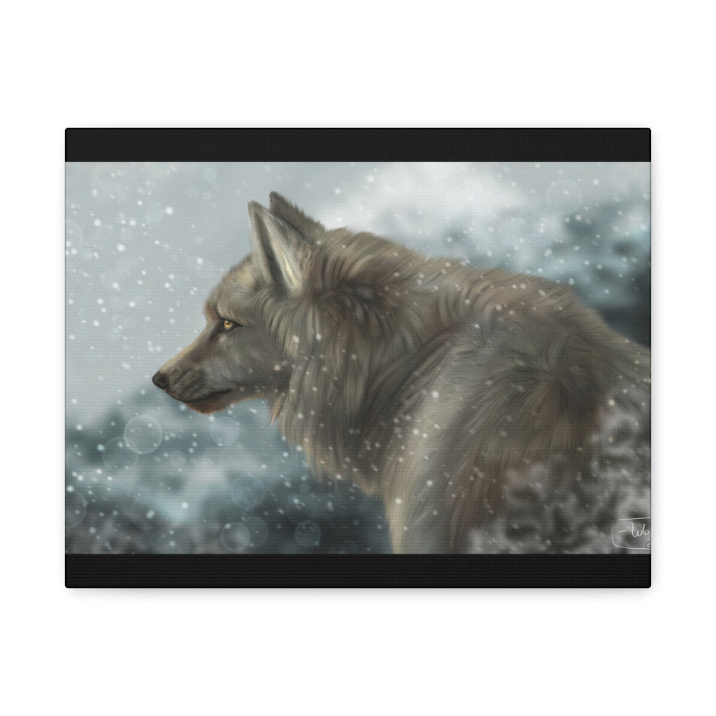 Lone Wolf Matte Canvas, Stretched, 1.25"