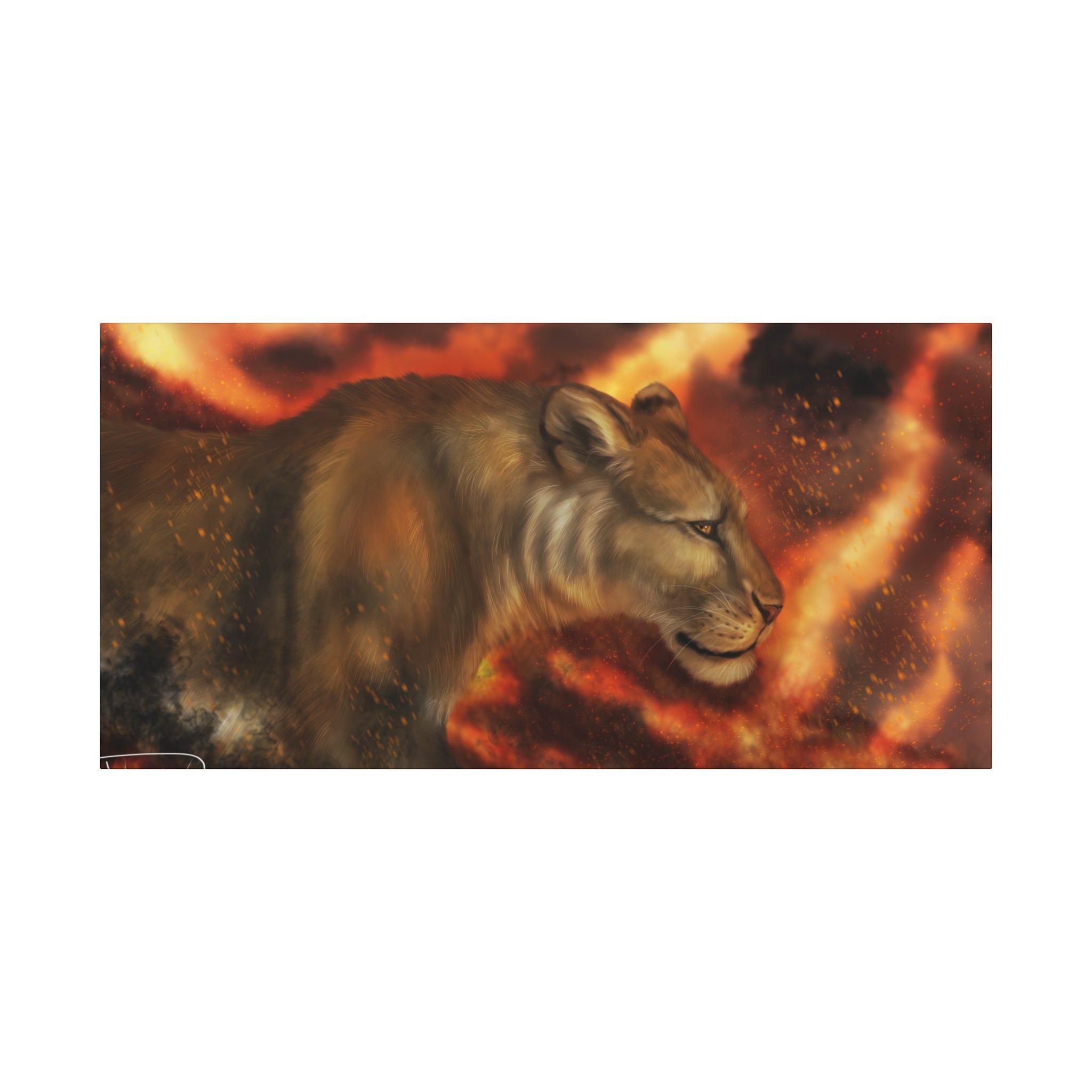 Fire lion Canvas, Stretched, 1.25"