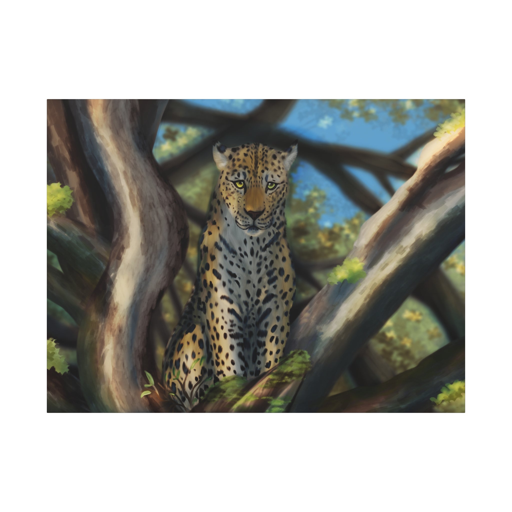 Cheetah Matte Canvas, Stretched, 1.25"