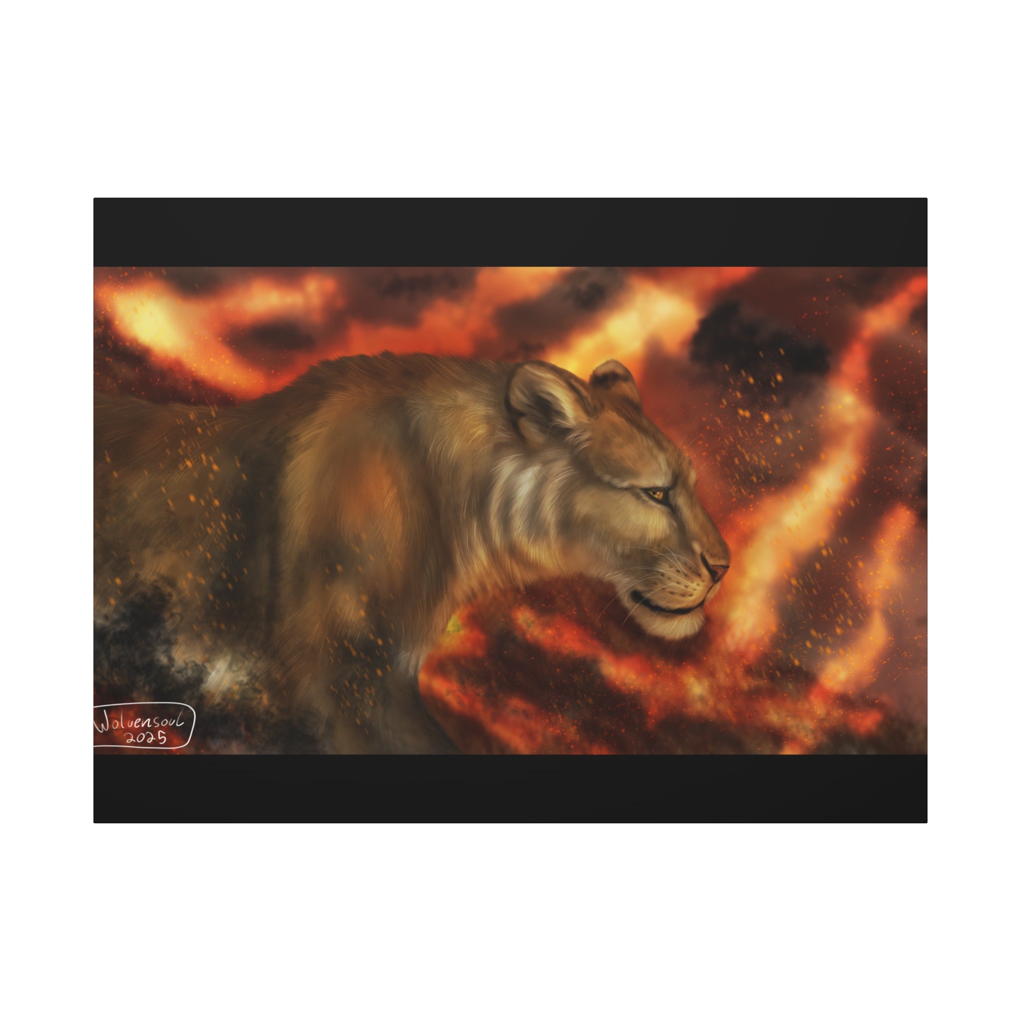 Fire lion Canvas, Stretched, 1.25"