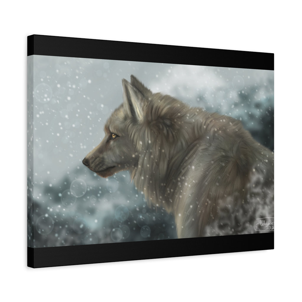 Lone Wolf Matte Canvas, Stretched, 1.25"