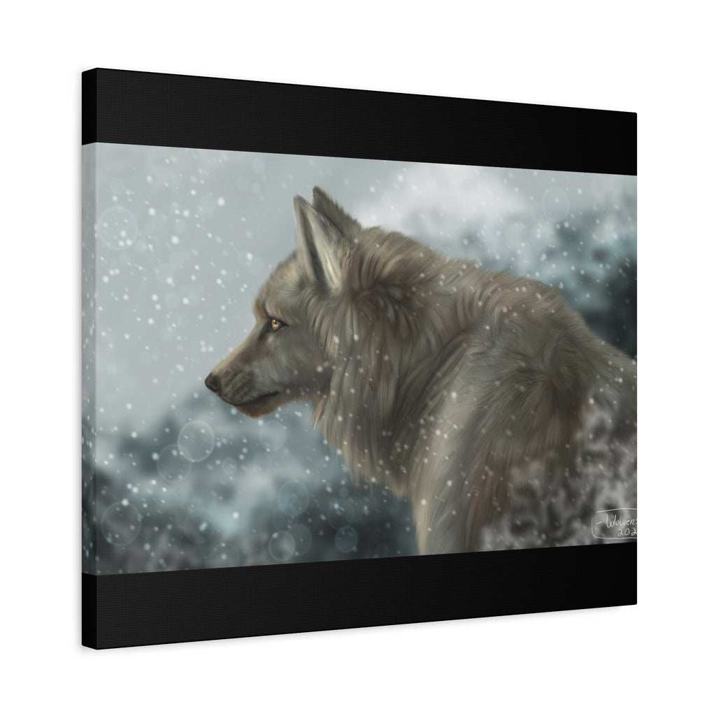 Lone Wolf Matte Canvas, Stretched, 1.25"