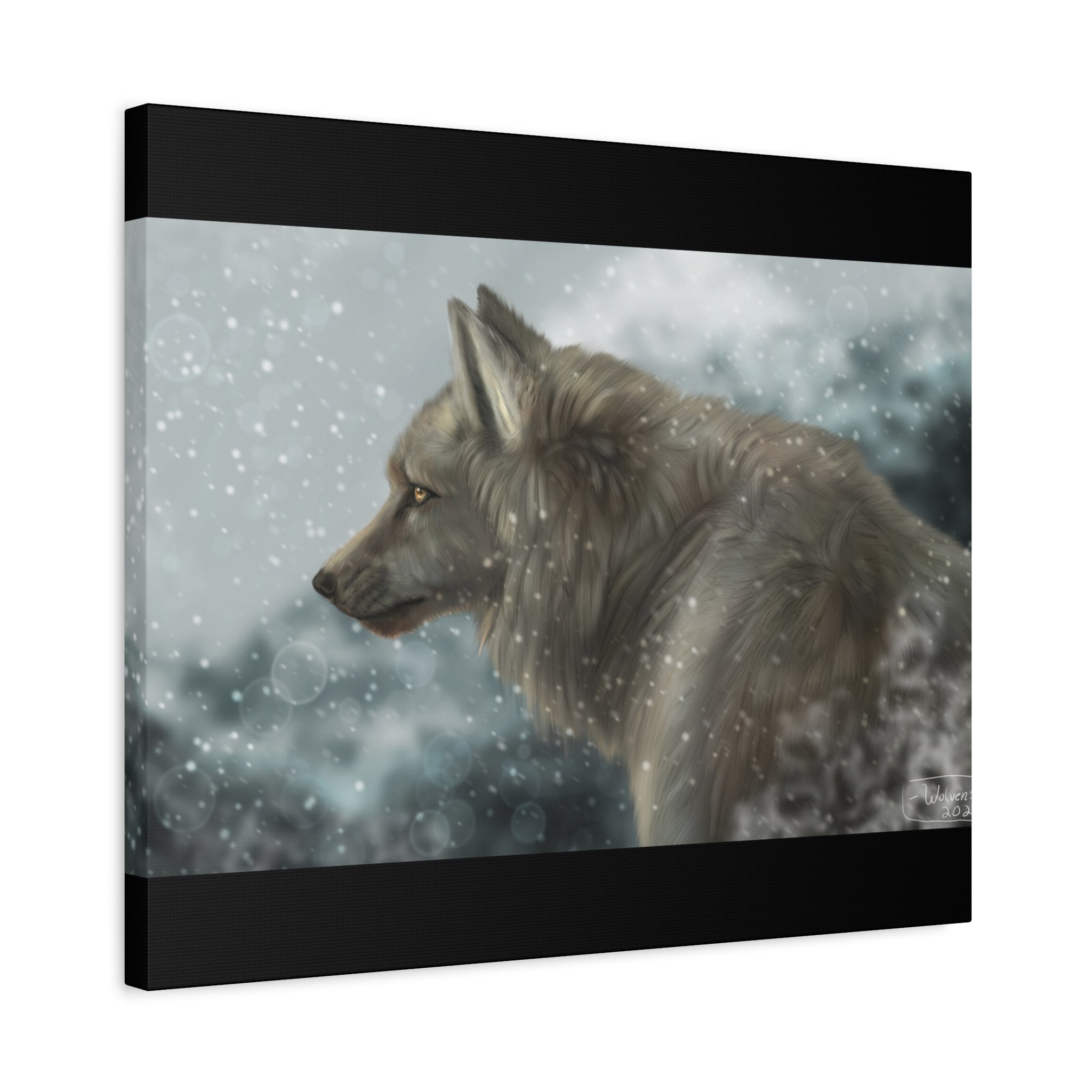 Lone Wolf Matte Canvas, Stretched, 1.25"