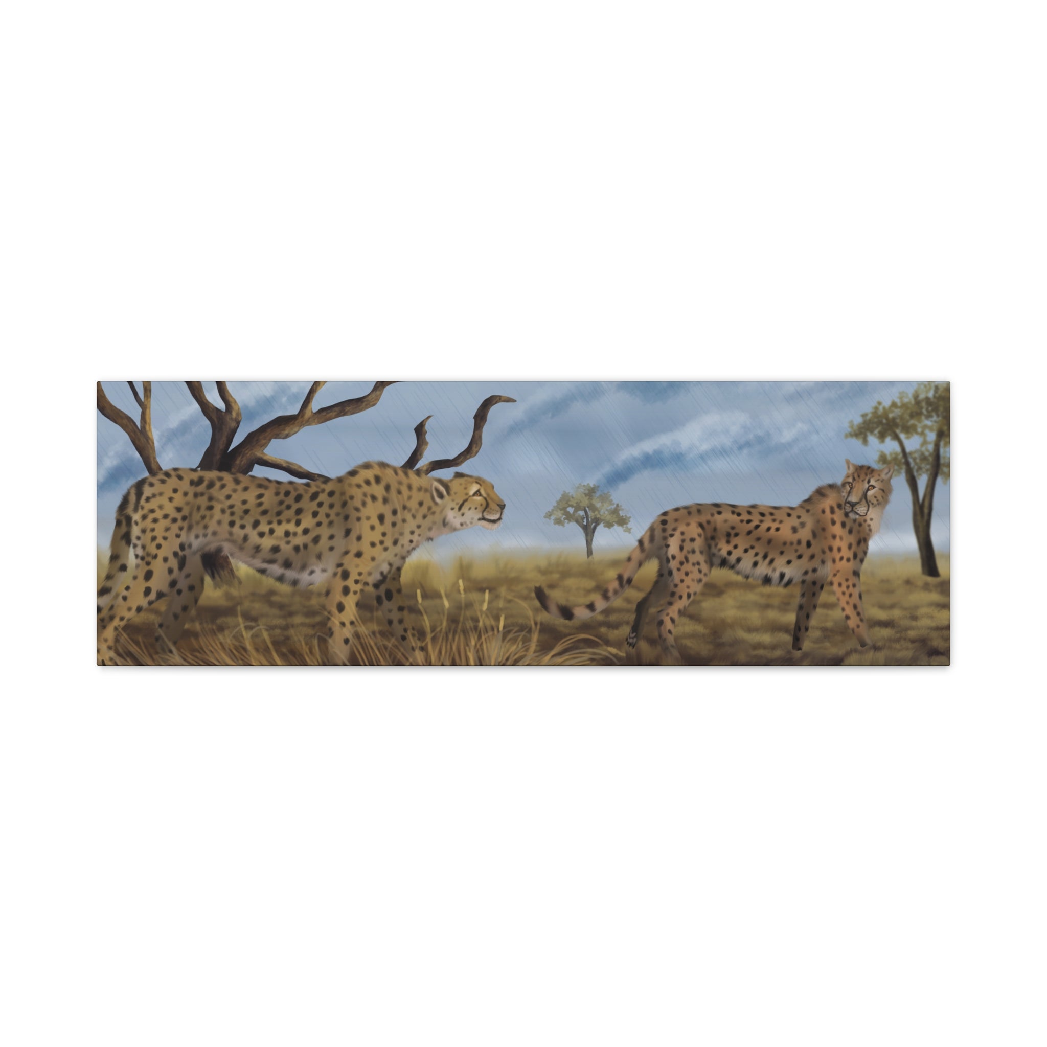 Cheetah Savanna Panorama Canvas