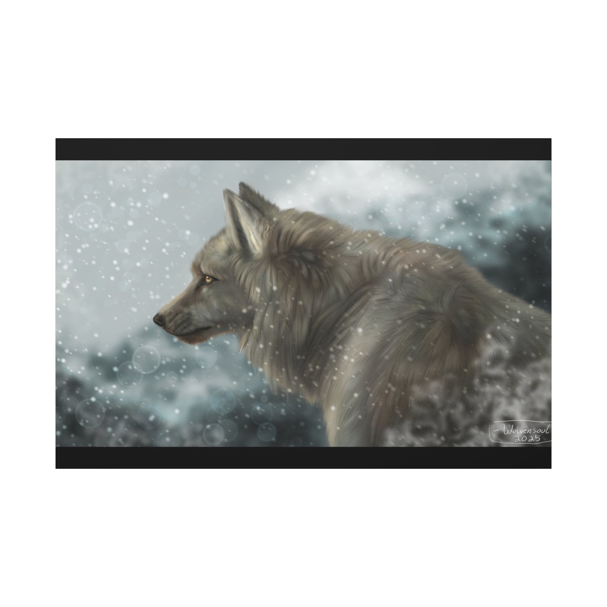 Lone Wolf Matte Canvas, Stretched, 1.25"
