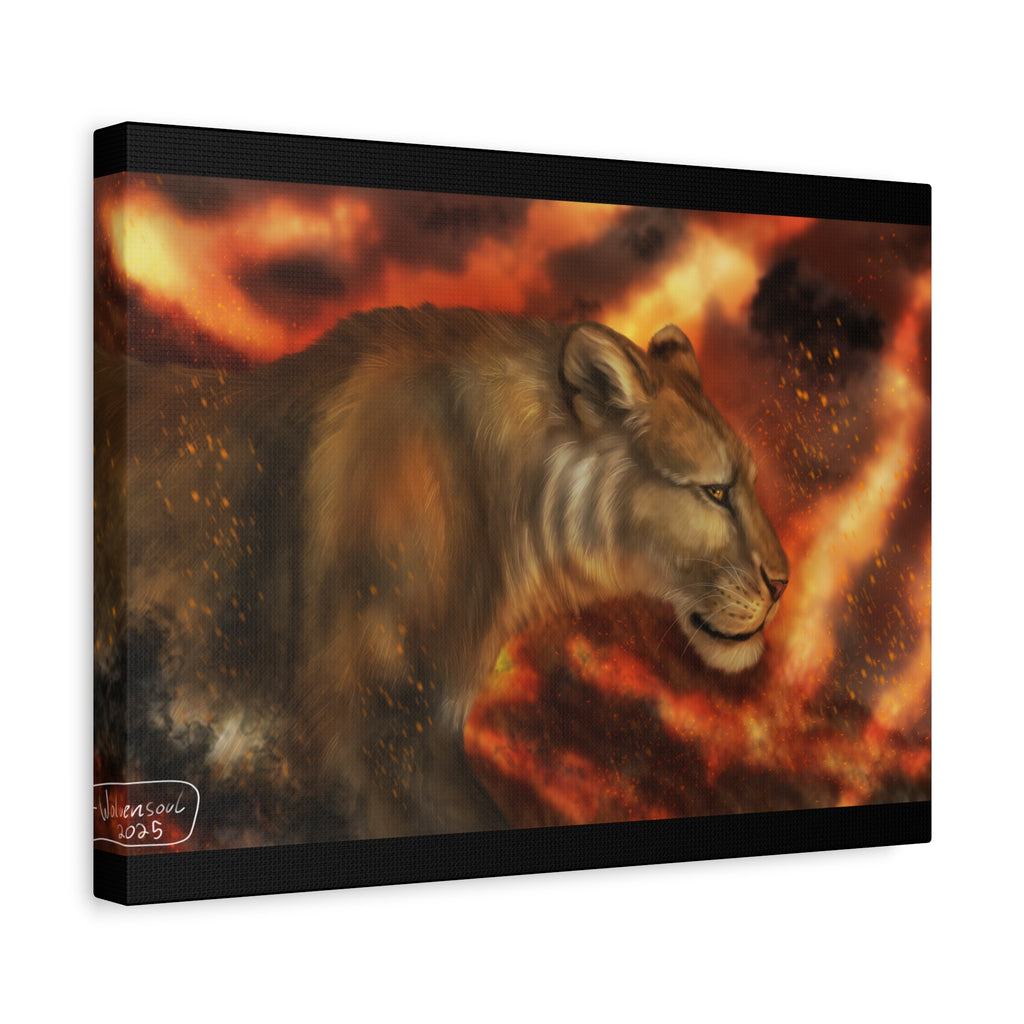 Fire lion Canvas, Stretched, 1.25"