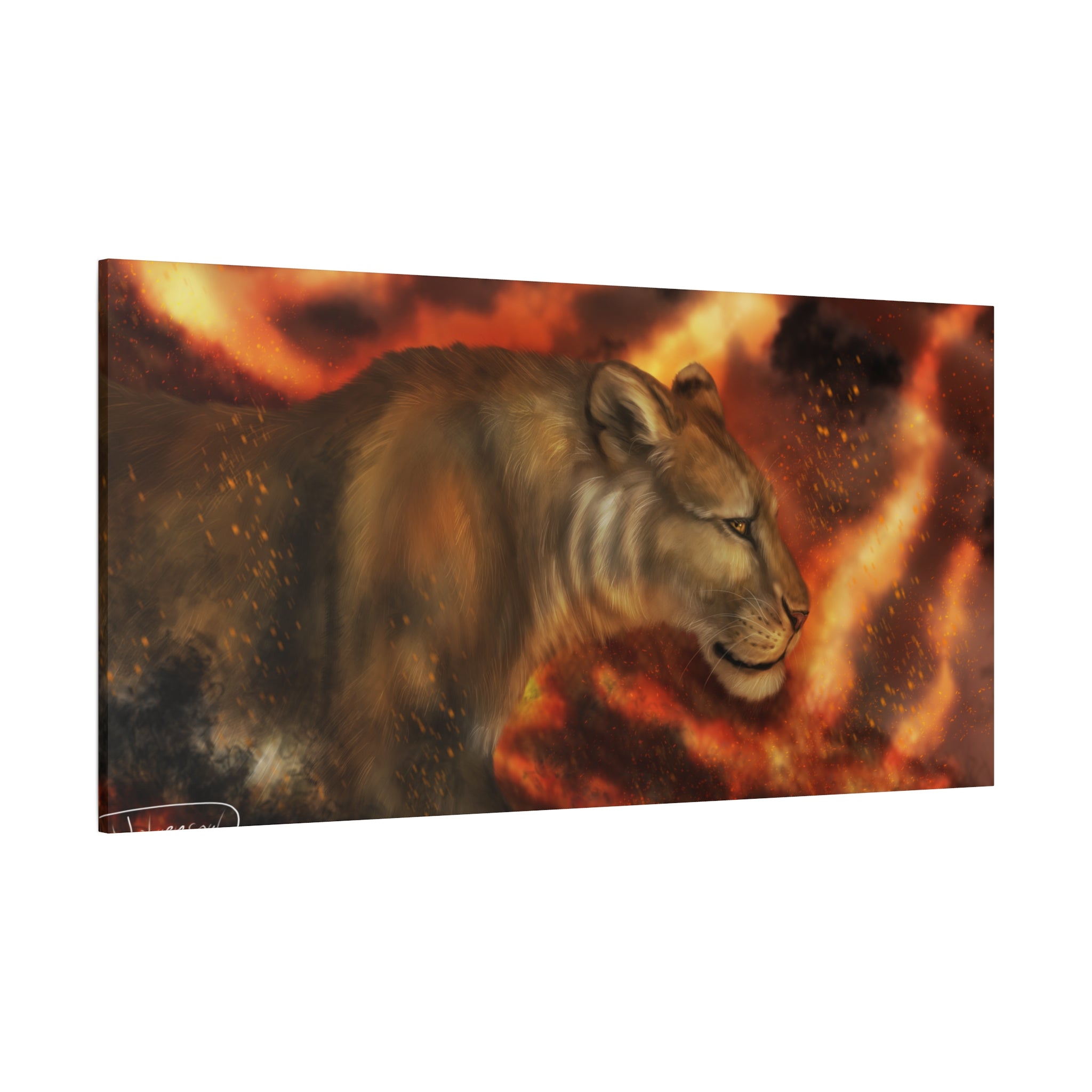 Fire lion Canvas, Stretched, 1.25"