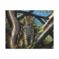 Cheetah Matte Canvas, Stretched, 1.25"