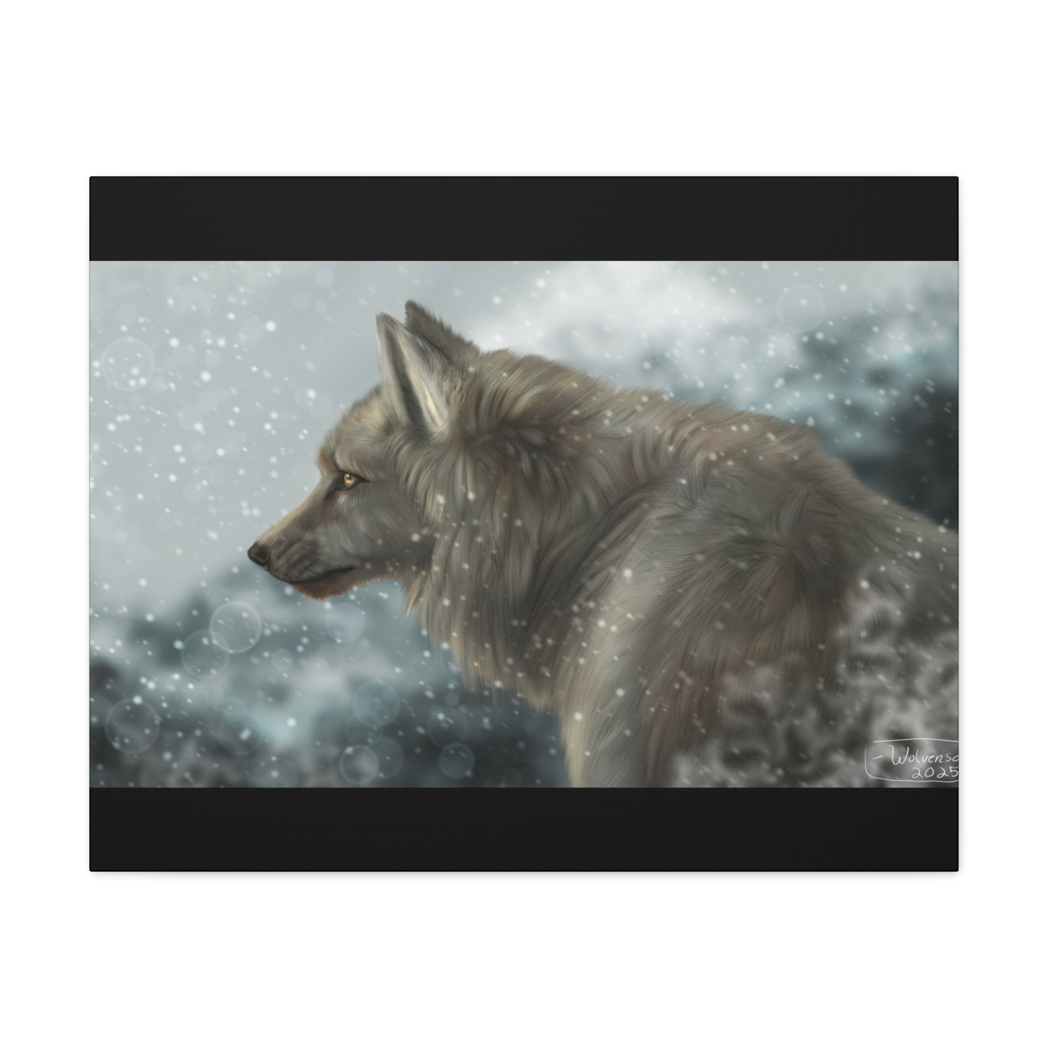 Lone Wolf Matte Canvas, Stretched, 1.25"