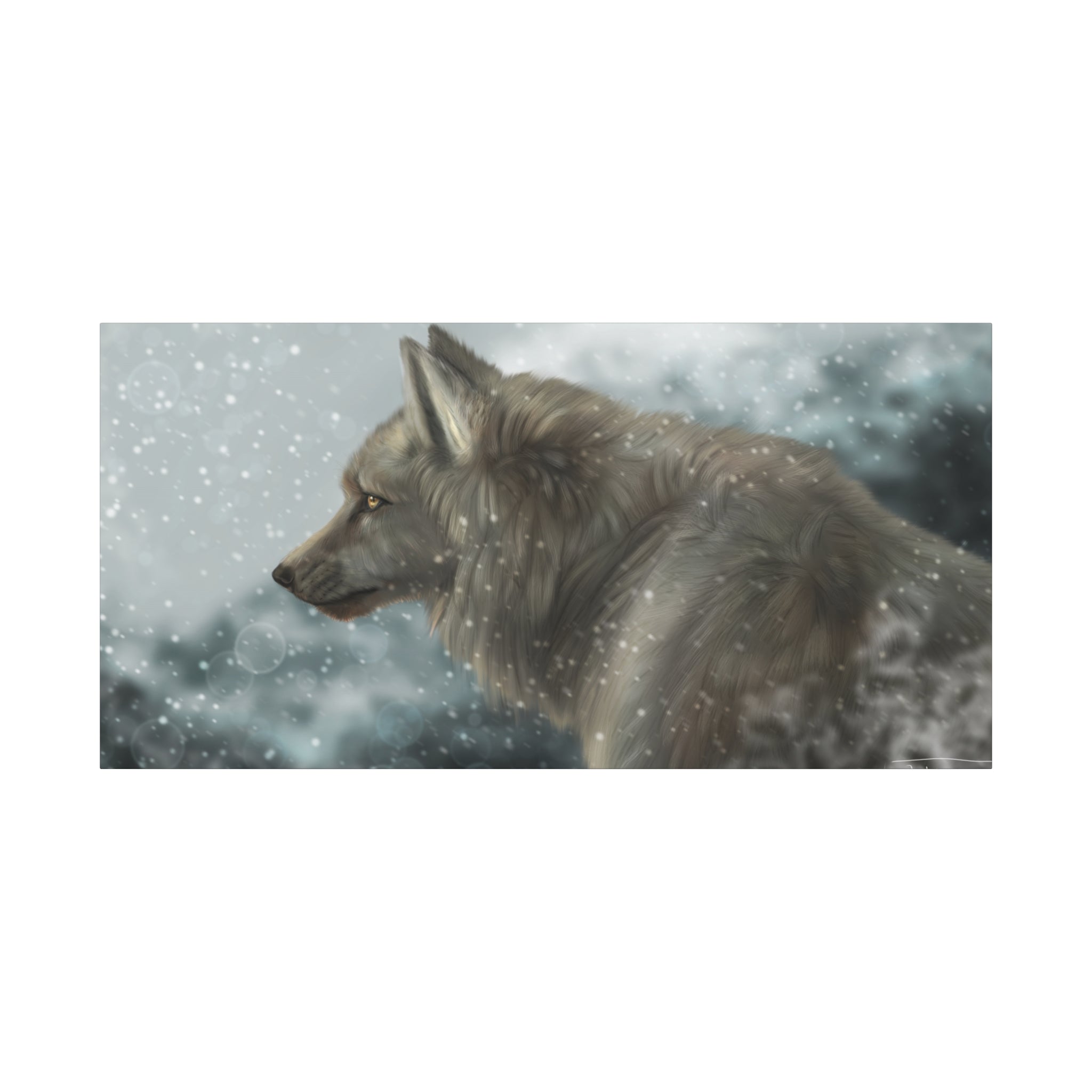 Lone Wolf Matte Canvas, Stretched, 1.25"