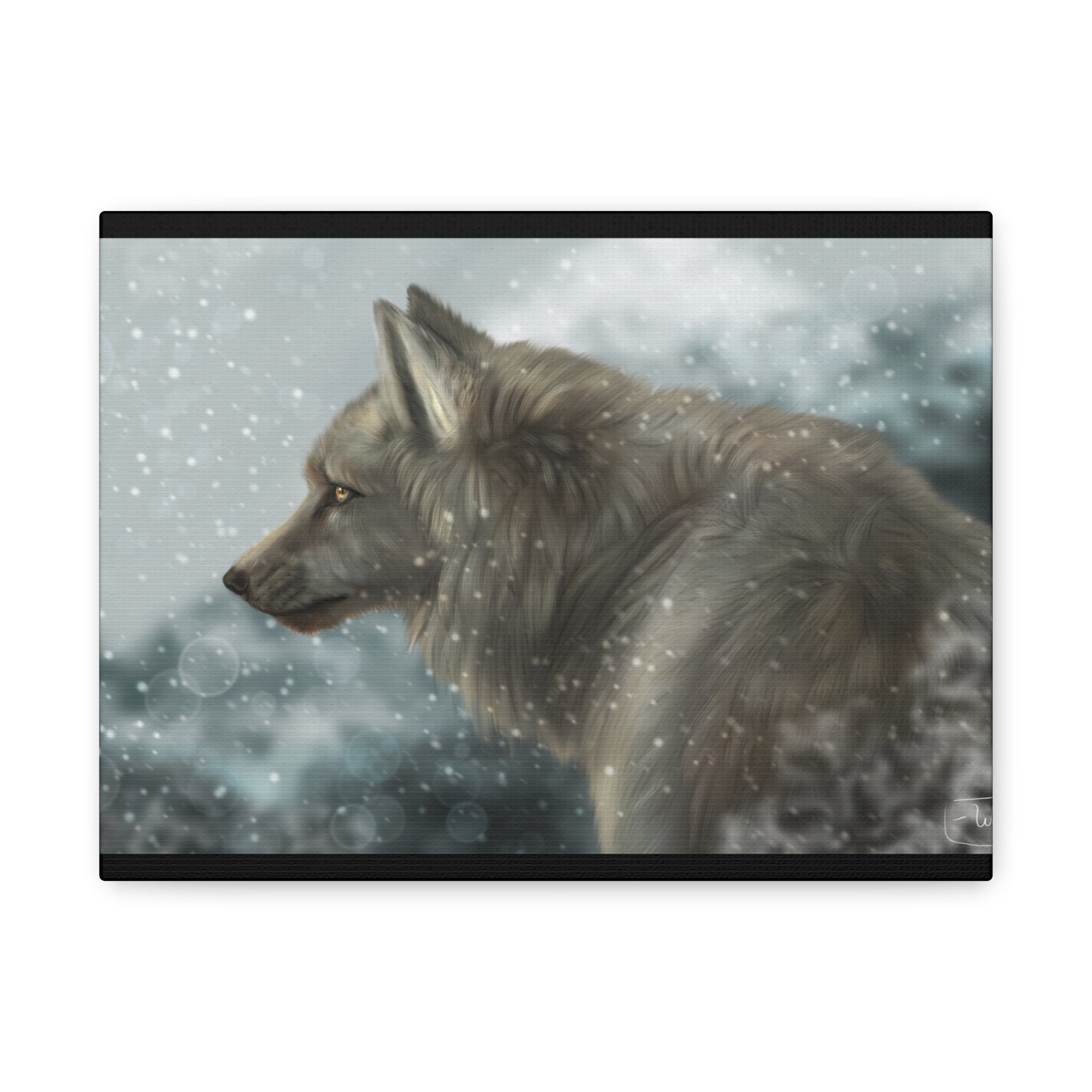 Lone Wolf Matte Canvas, Stretched, 1.25"