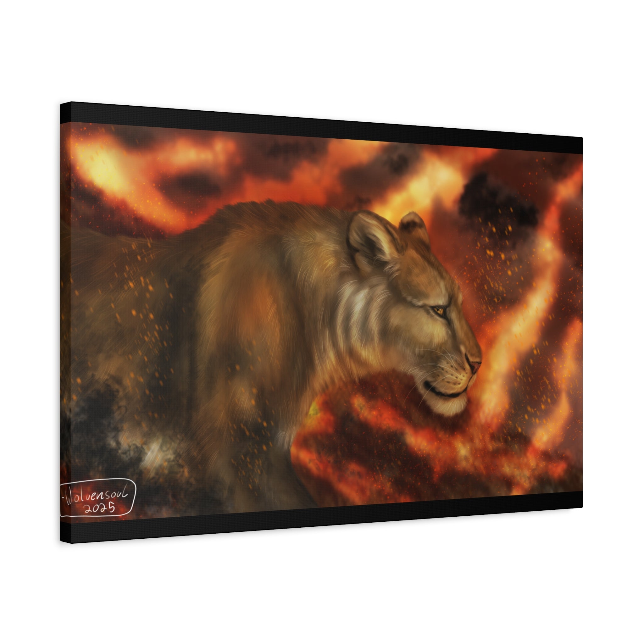 Fire lion Canvas, Stretched, 1.25"