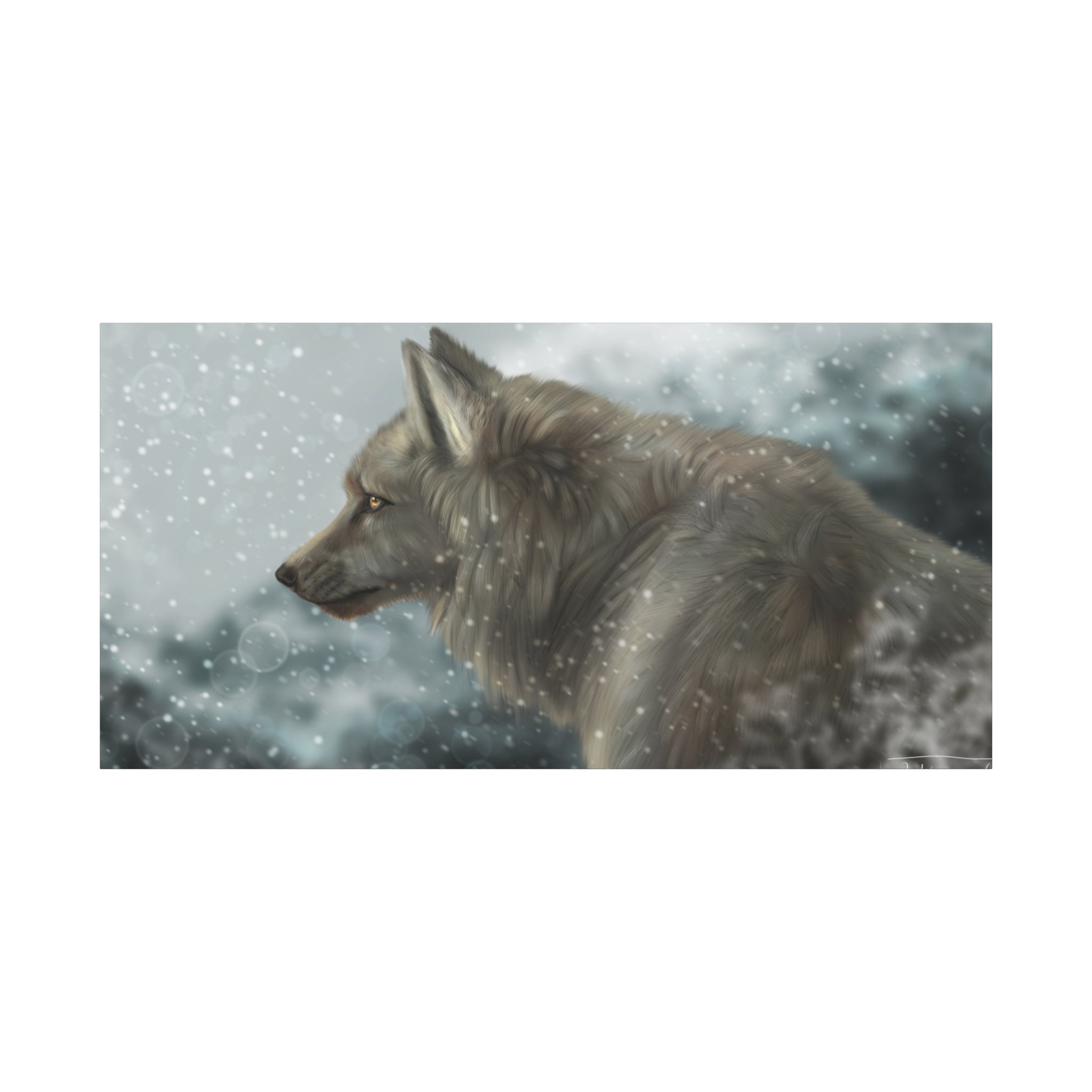 Lone Wolf Matte Canvas, Stretched, 1.25"