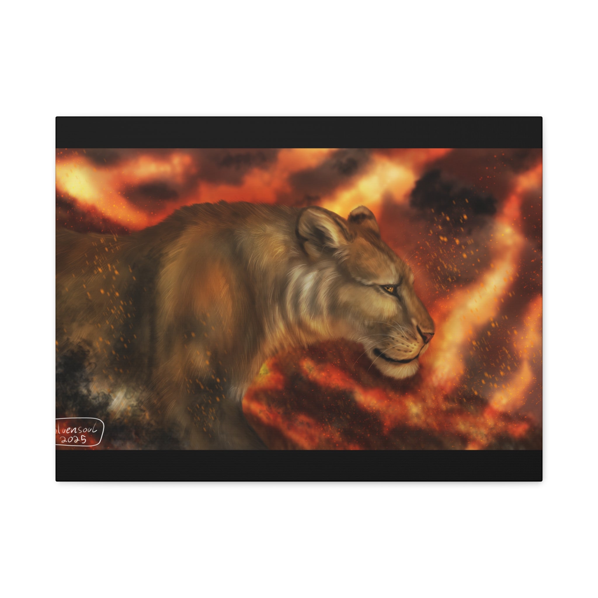 Fire lion Canvas, Stretched, 1.25"