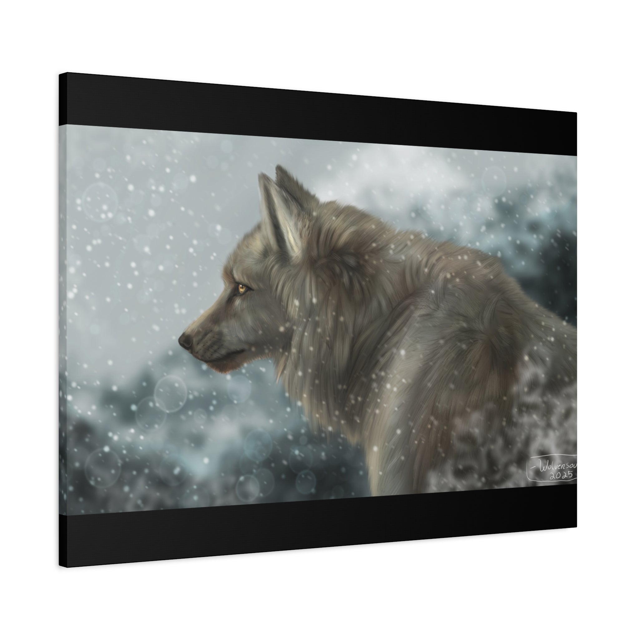 Lone Wolf Matte Canvas, Stretched, 1.25"