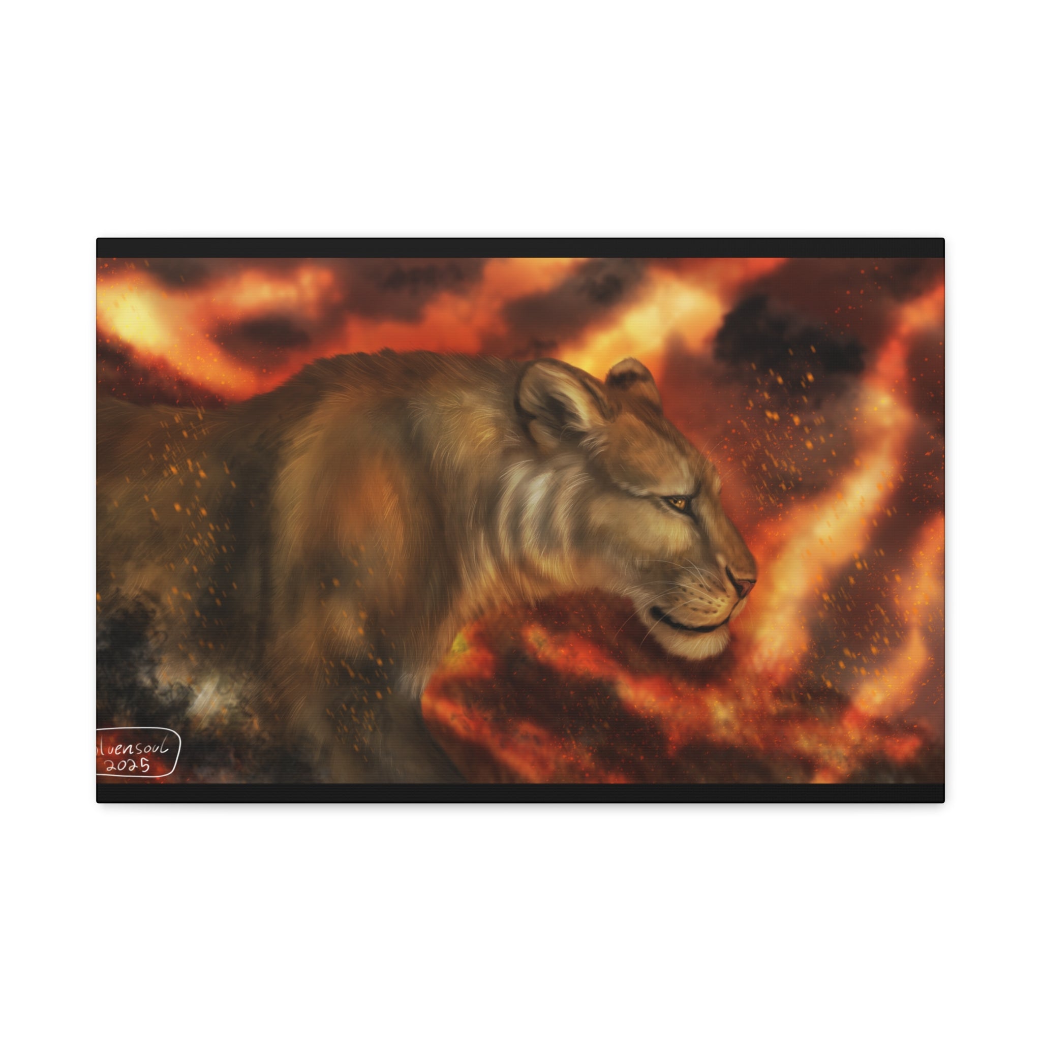 Fire lion Canvas, Stretched, 1.25"