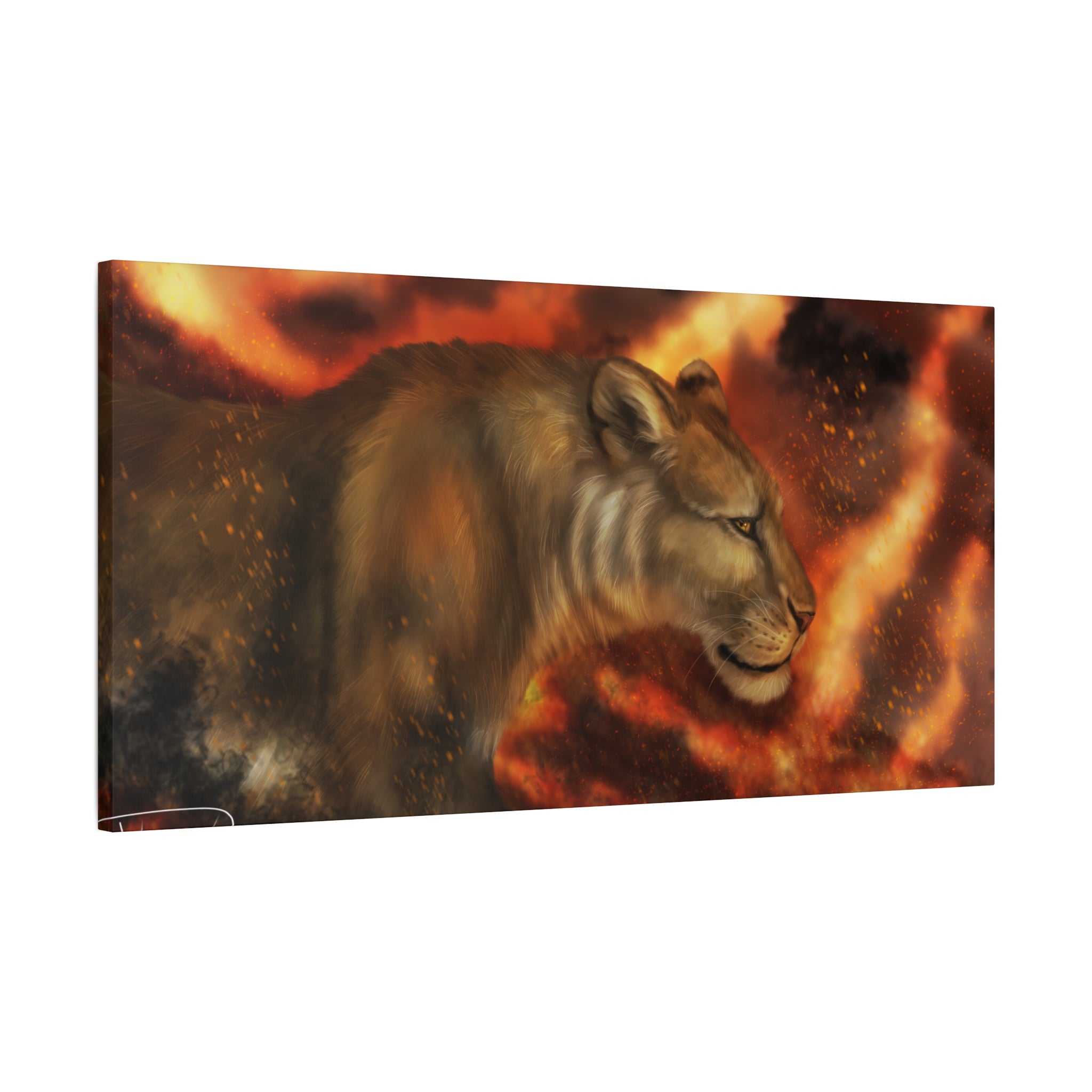 Fire lion Canvas, Stretched, 1.25"