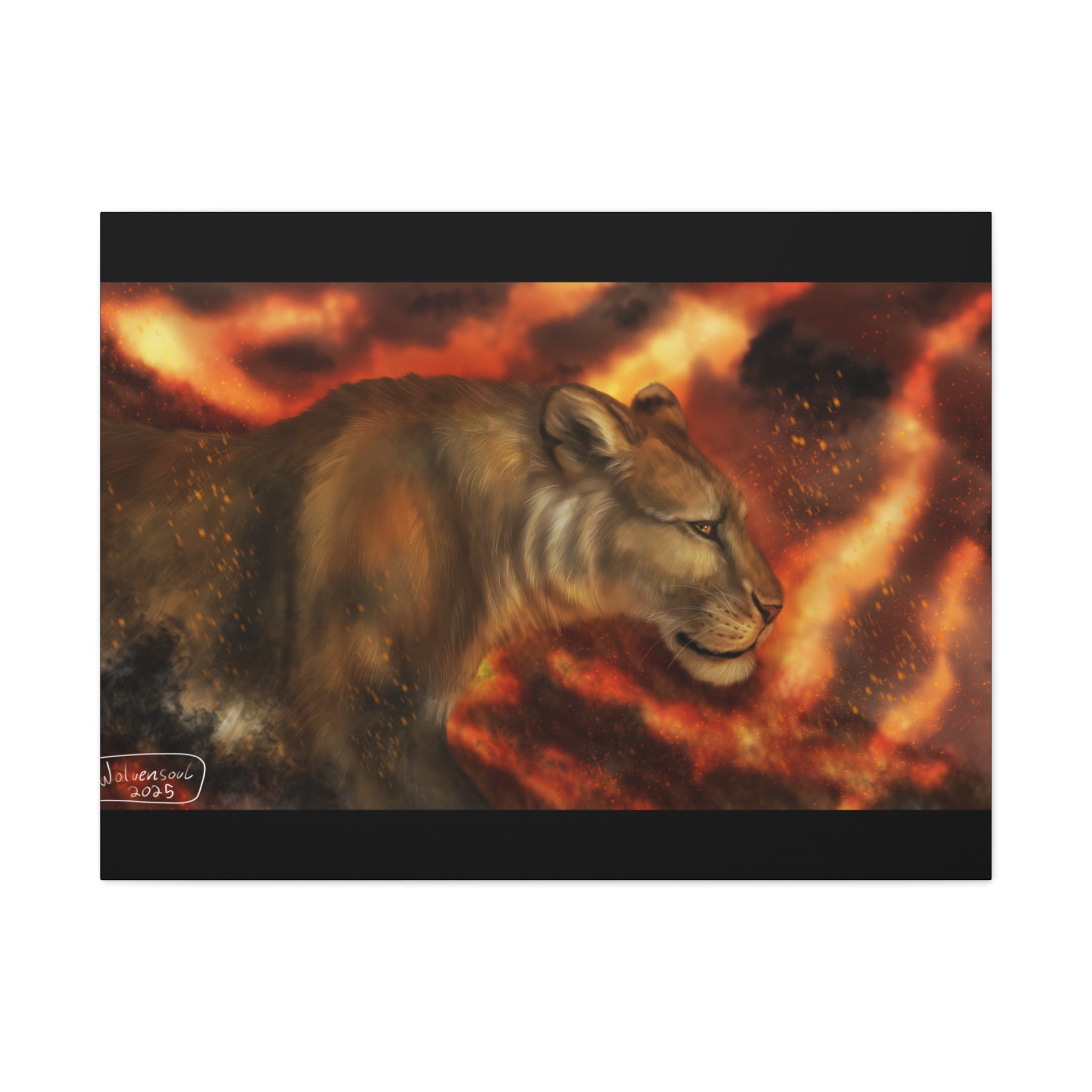 Fire lion Canvas, Stretched, 1.25"