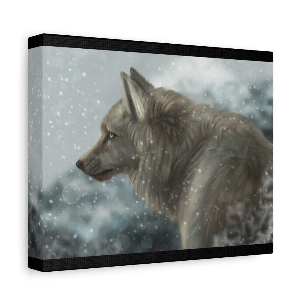 Lone Wolf Matte Canvas, Stretched, 1.25"
