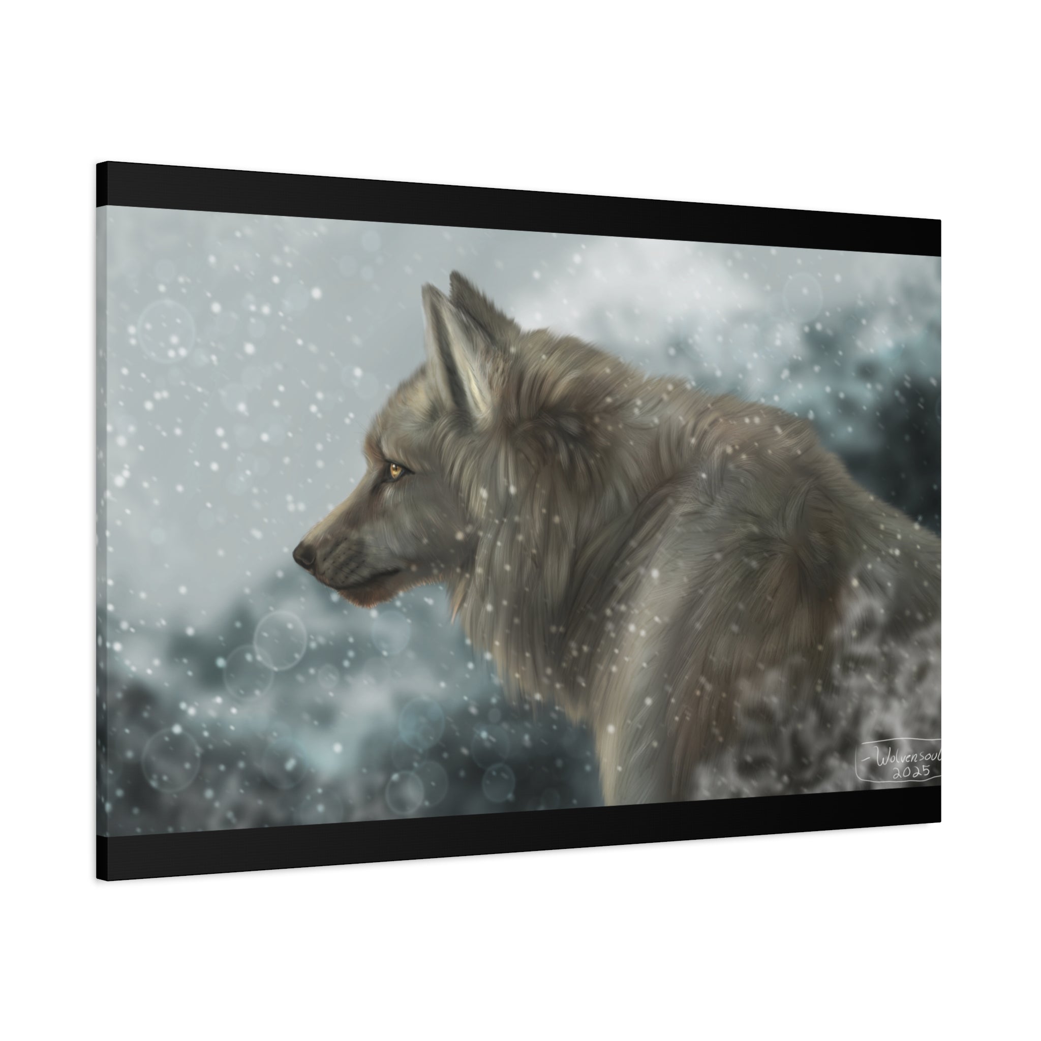 Lone Wolf Matte Canvas, Stretched, 1.25"