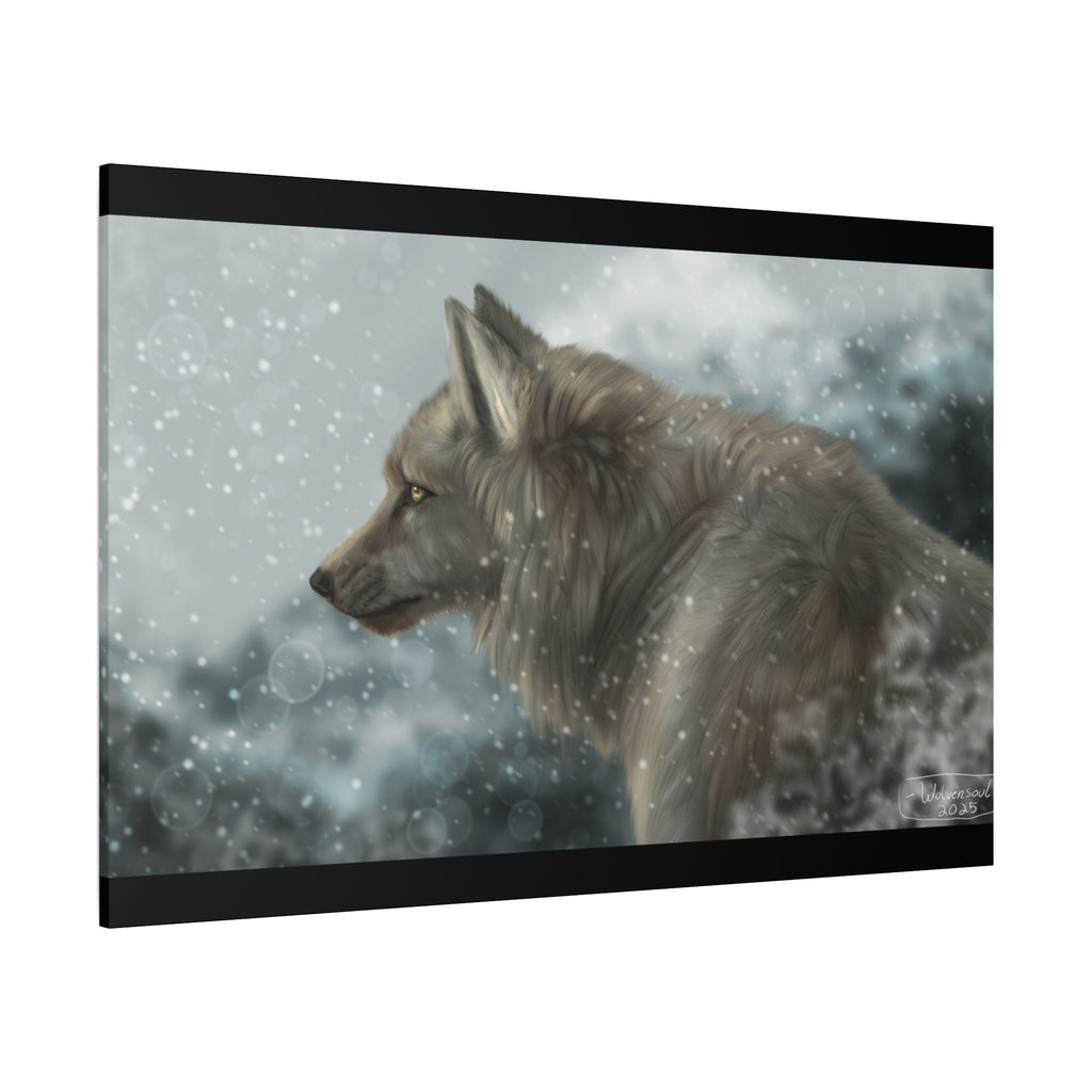 Lone Wolf Matte Canvas, Stretched, 1.25"