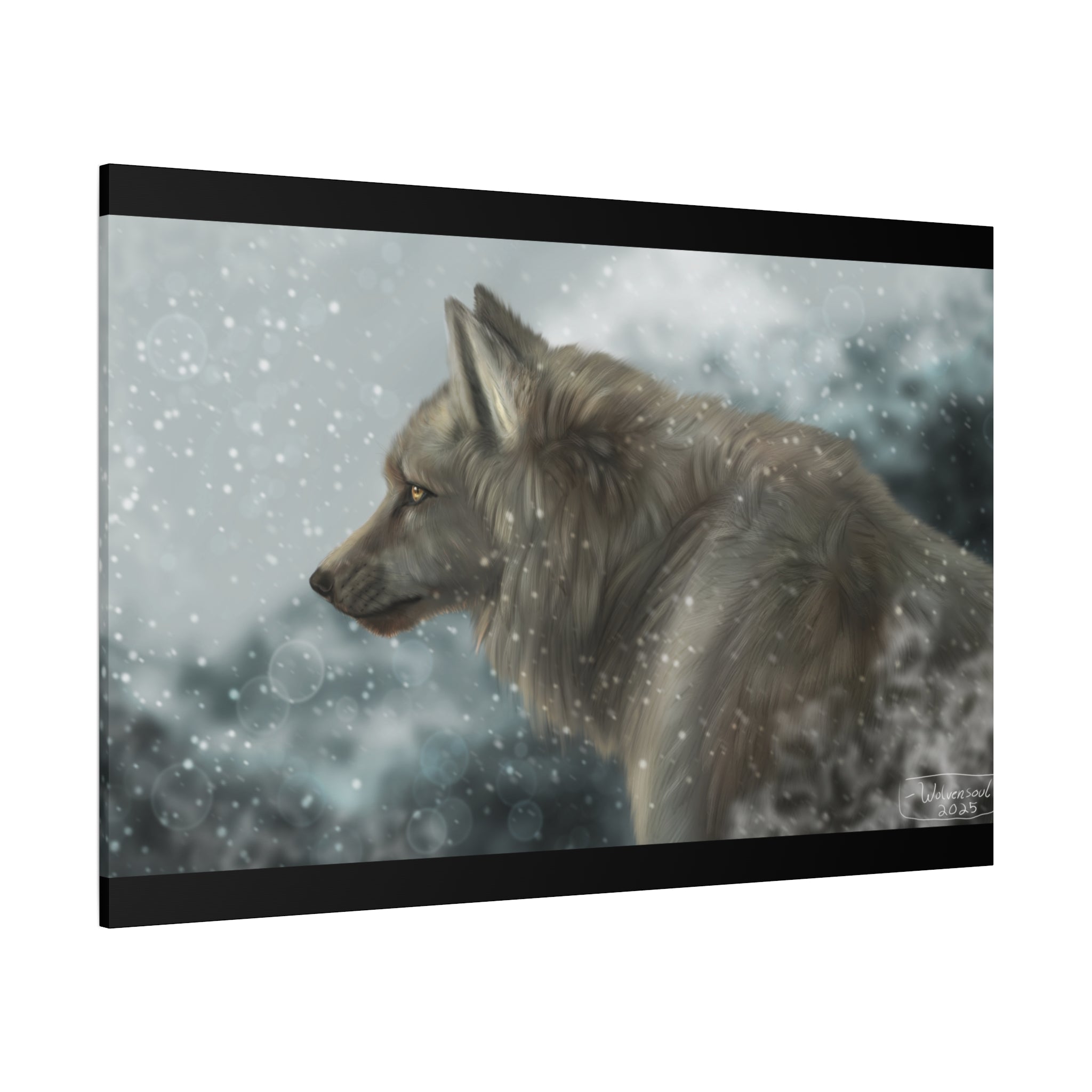 Lone Wolf Matte Canvas, Stretched, 1.25"