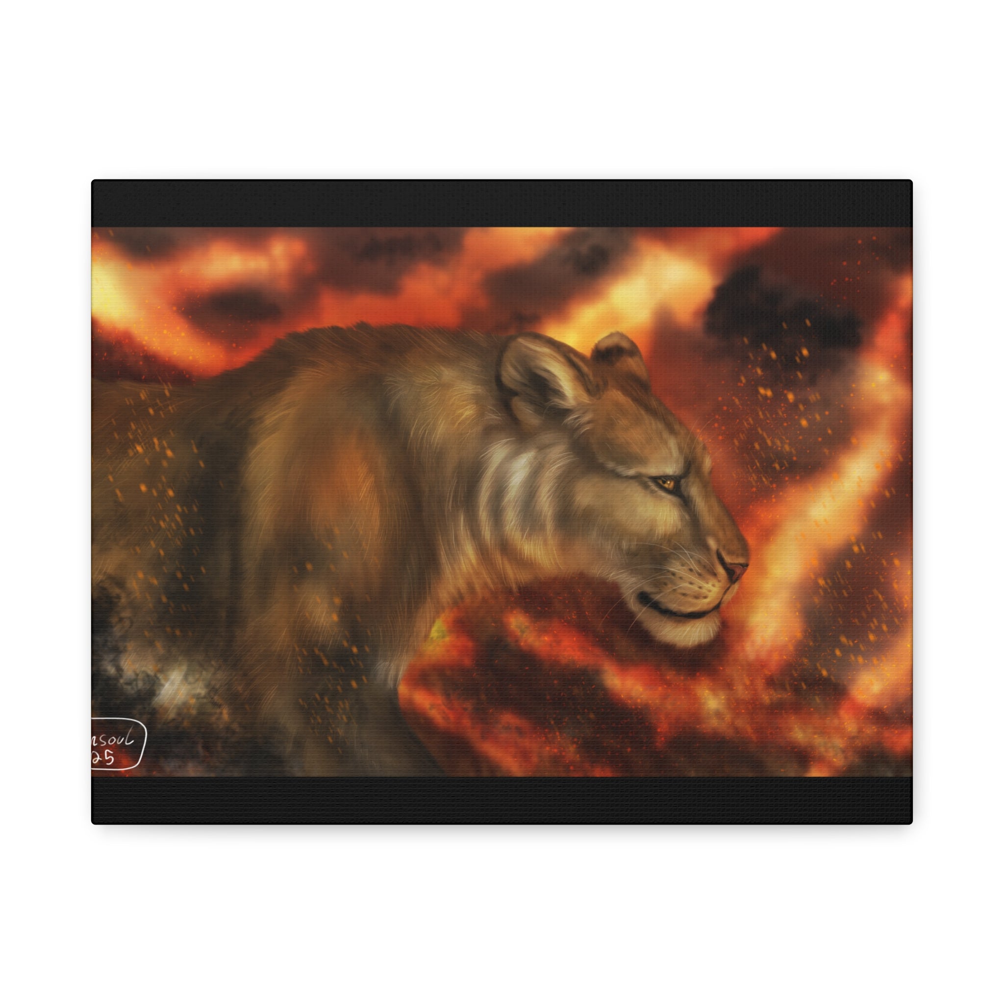 Fire lion Canvas, Stretched, 1.25"