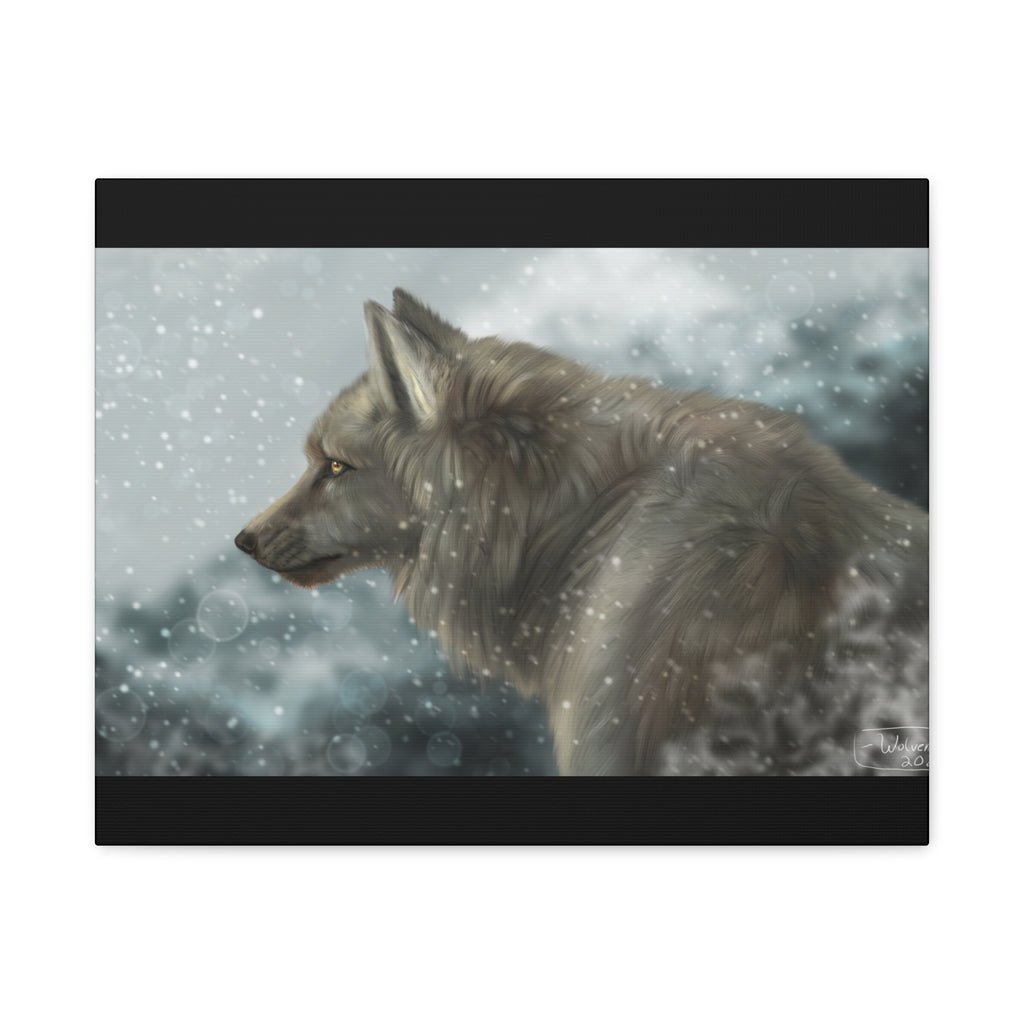 Lone Wolf Matte Canvas, Stretched, 1.25"