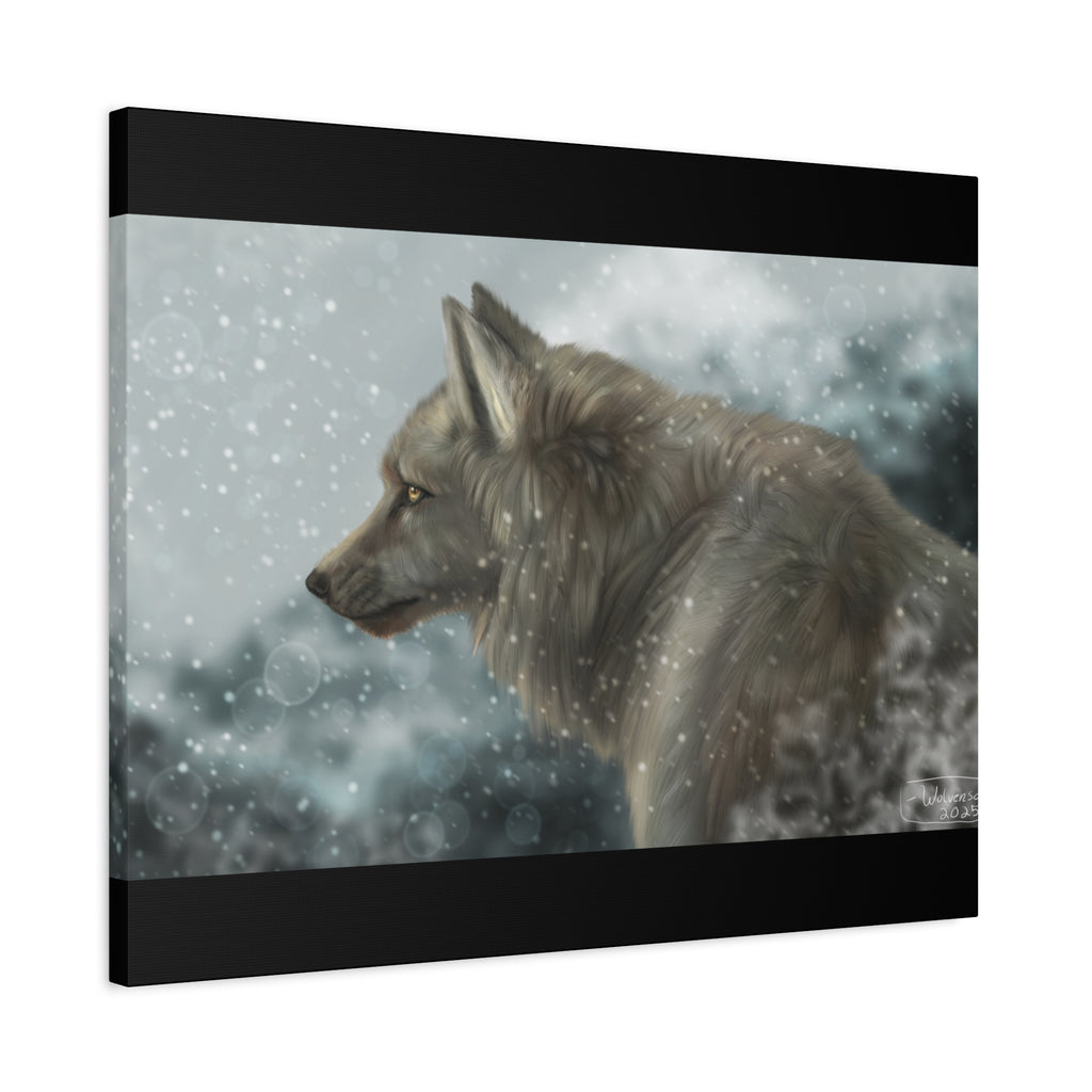 Lone Wolf Matte Canvas, Stretched, 1.25"