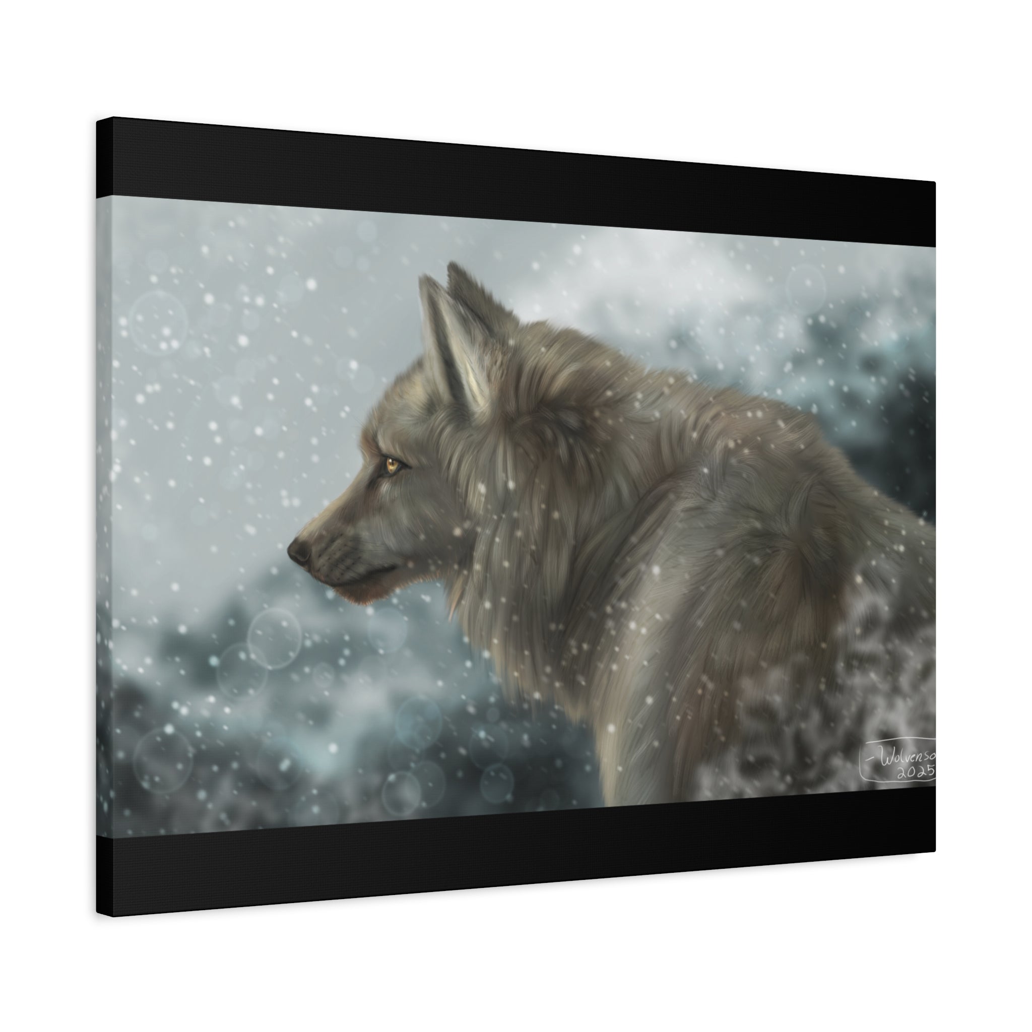 Lone Wolf Matte Canvas, Stretched, 1.25"