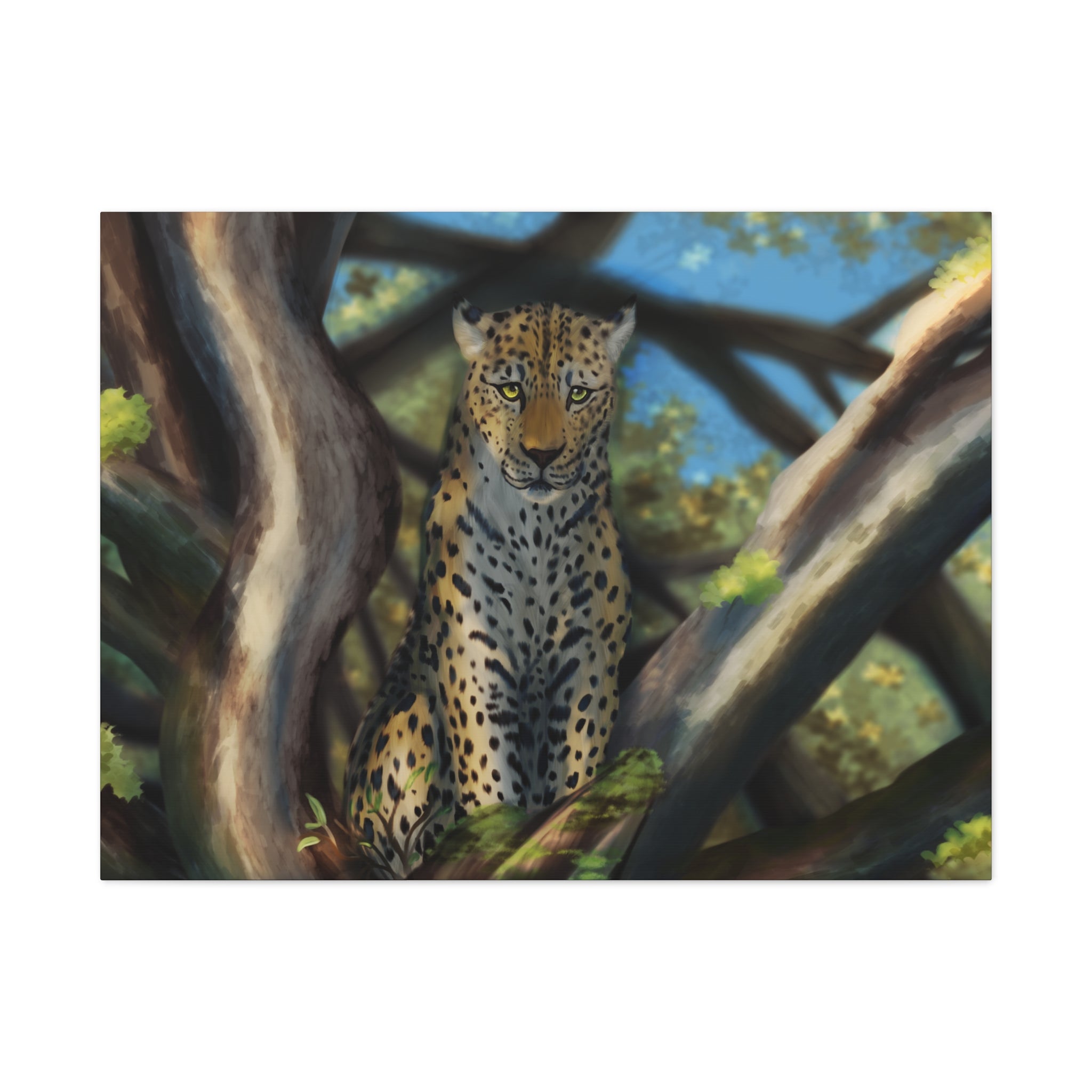 Cheetah Matte Canvas, Stretched, 1.25"