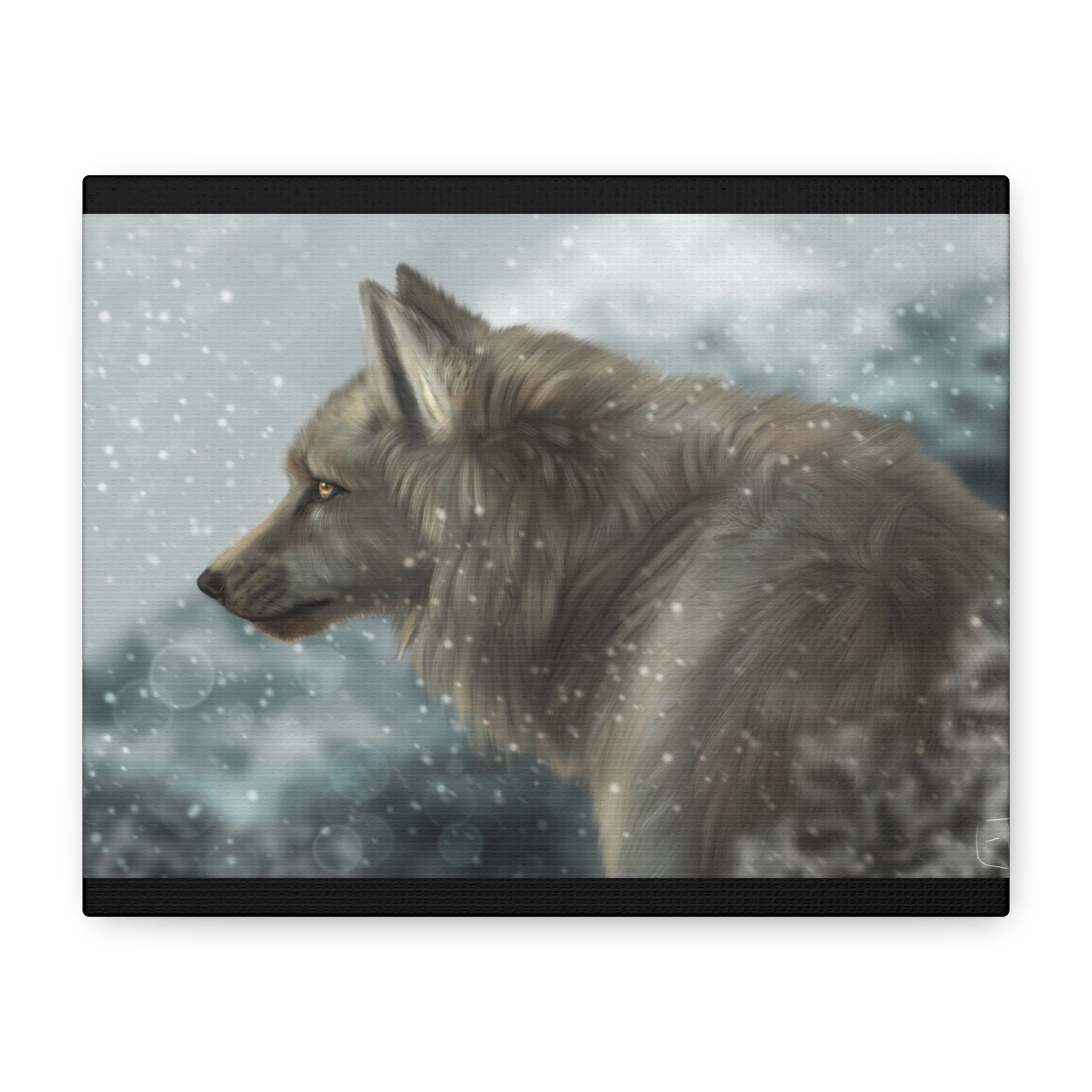 Lone Wolf Matte Canvas, Stretched, 1.25"
