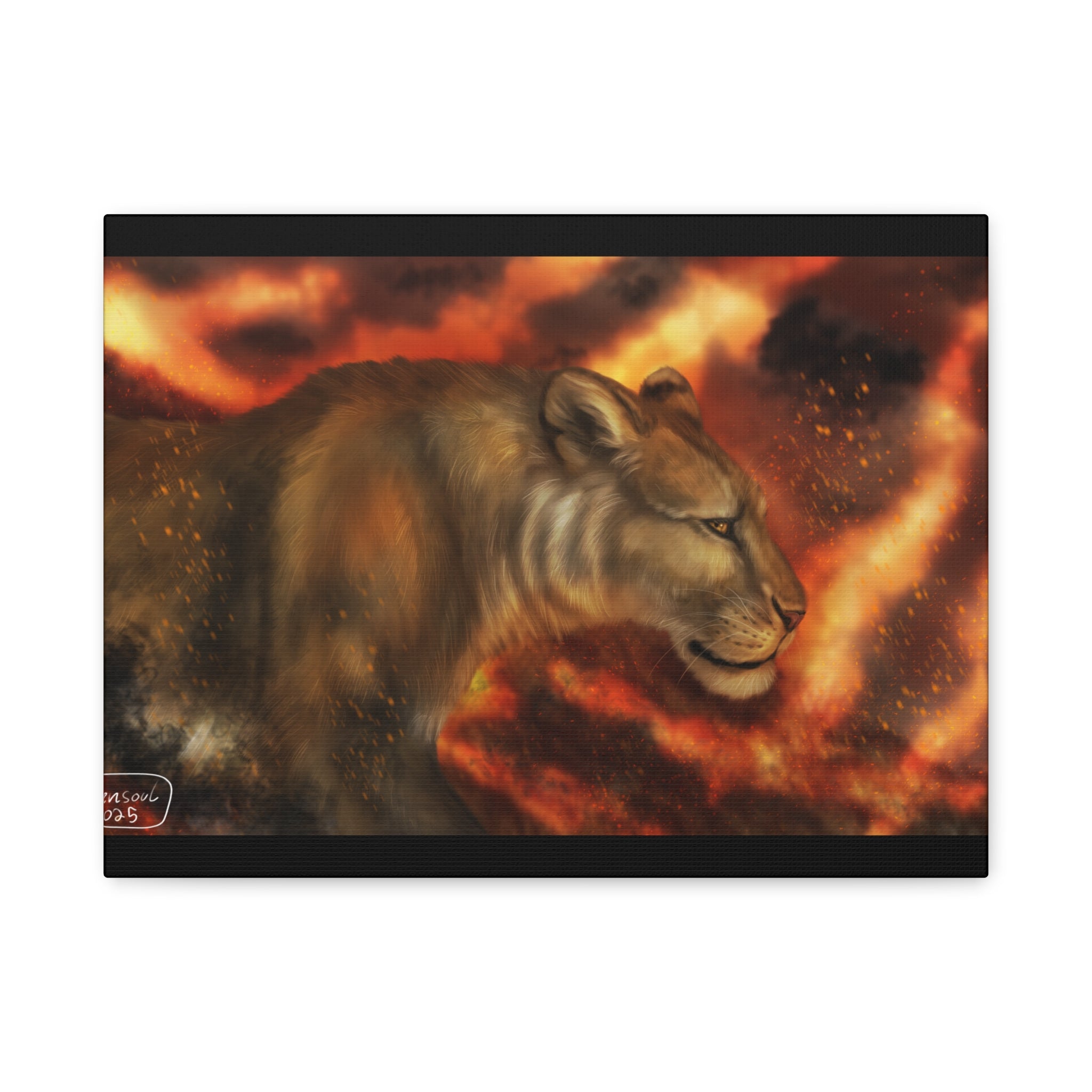 Fire lion Canvas, Stretched, 1.25"