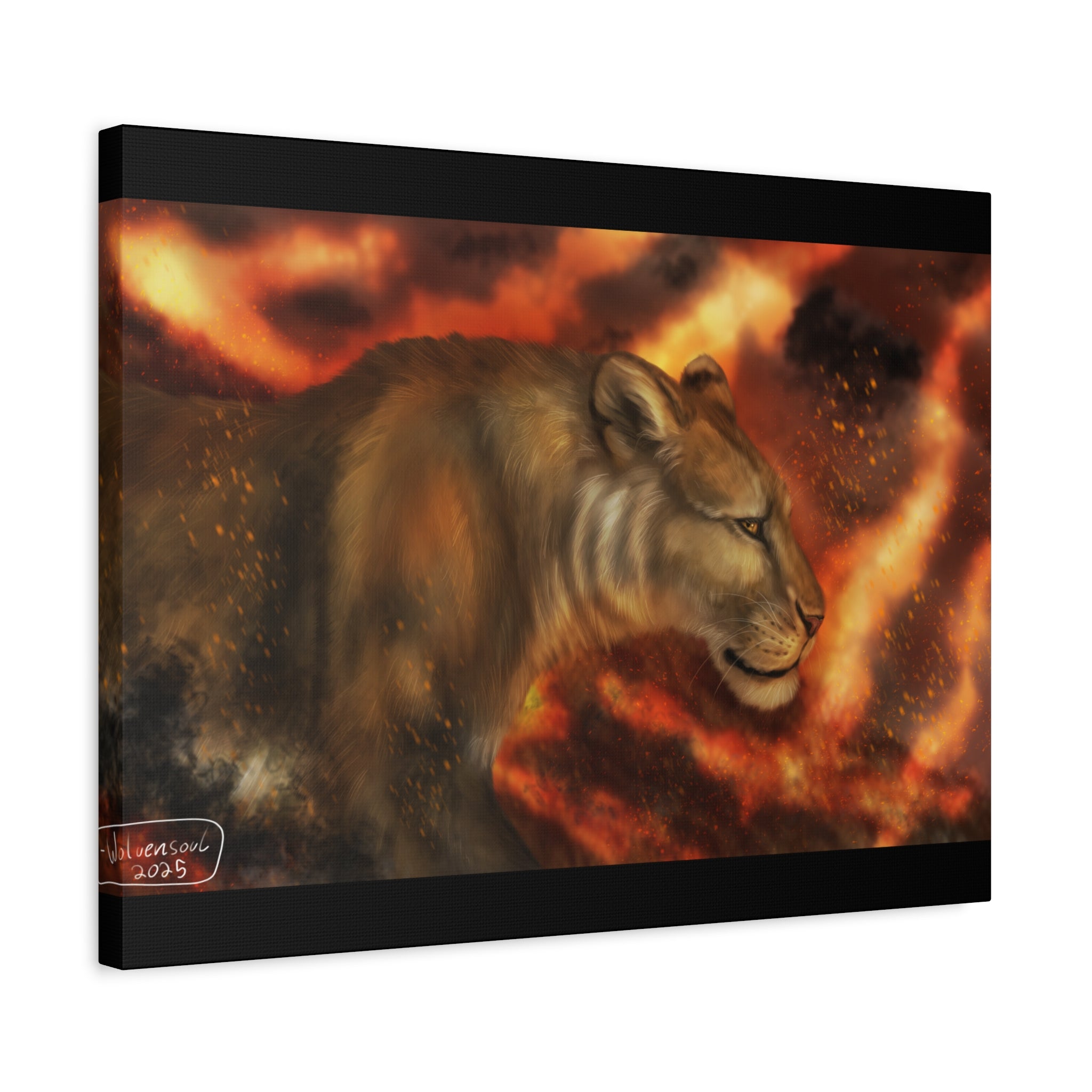 Fire lion Canvas, Stretched, 1.25"
