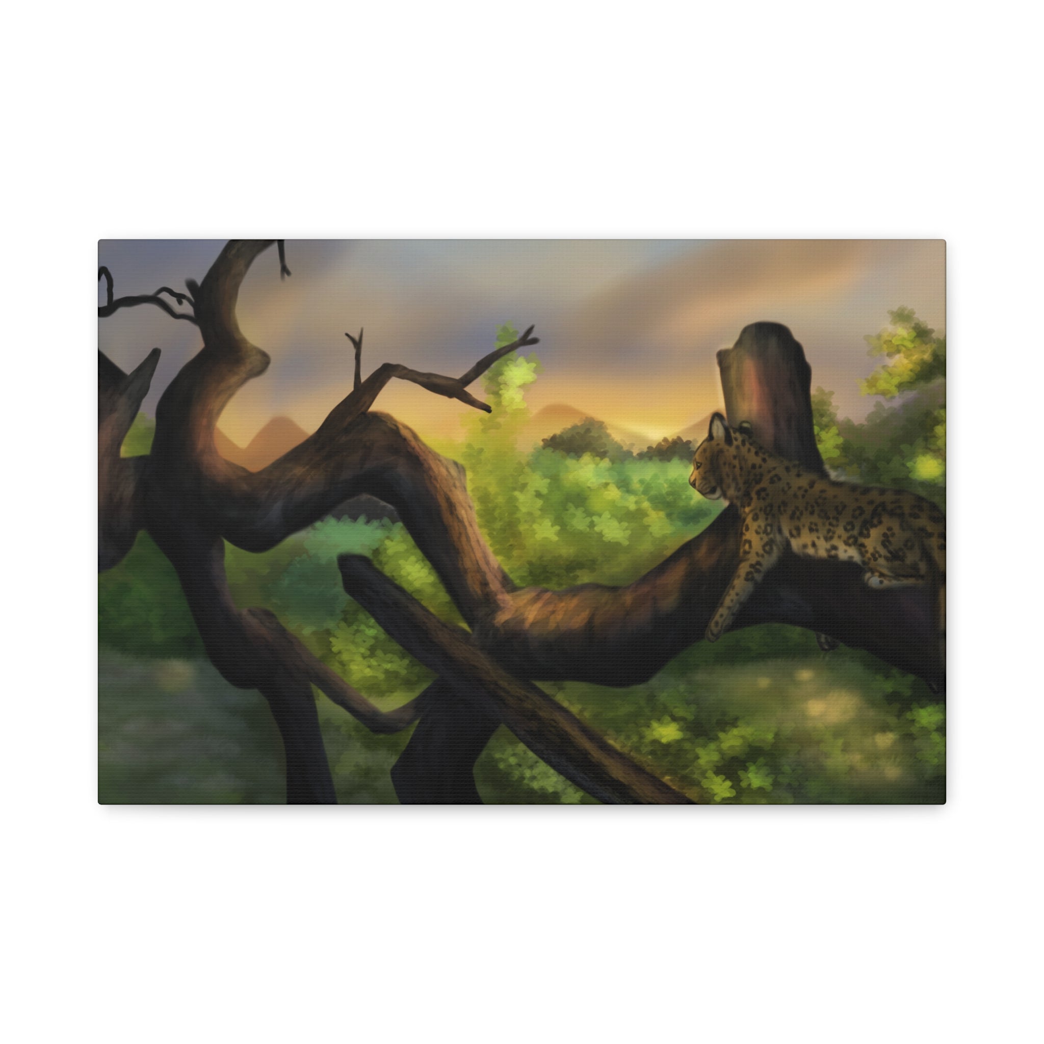 Leopard Landscape Matte Canvas, Stretched, 1.25"